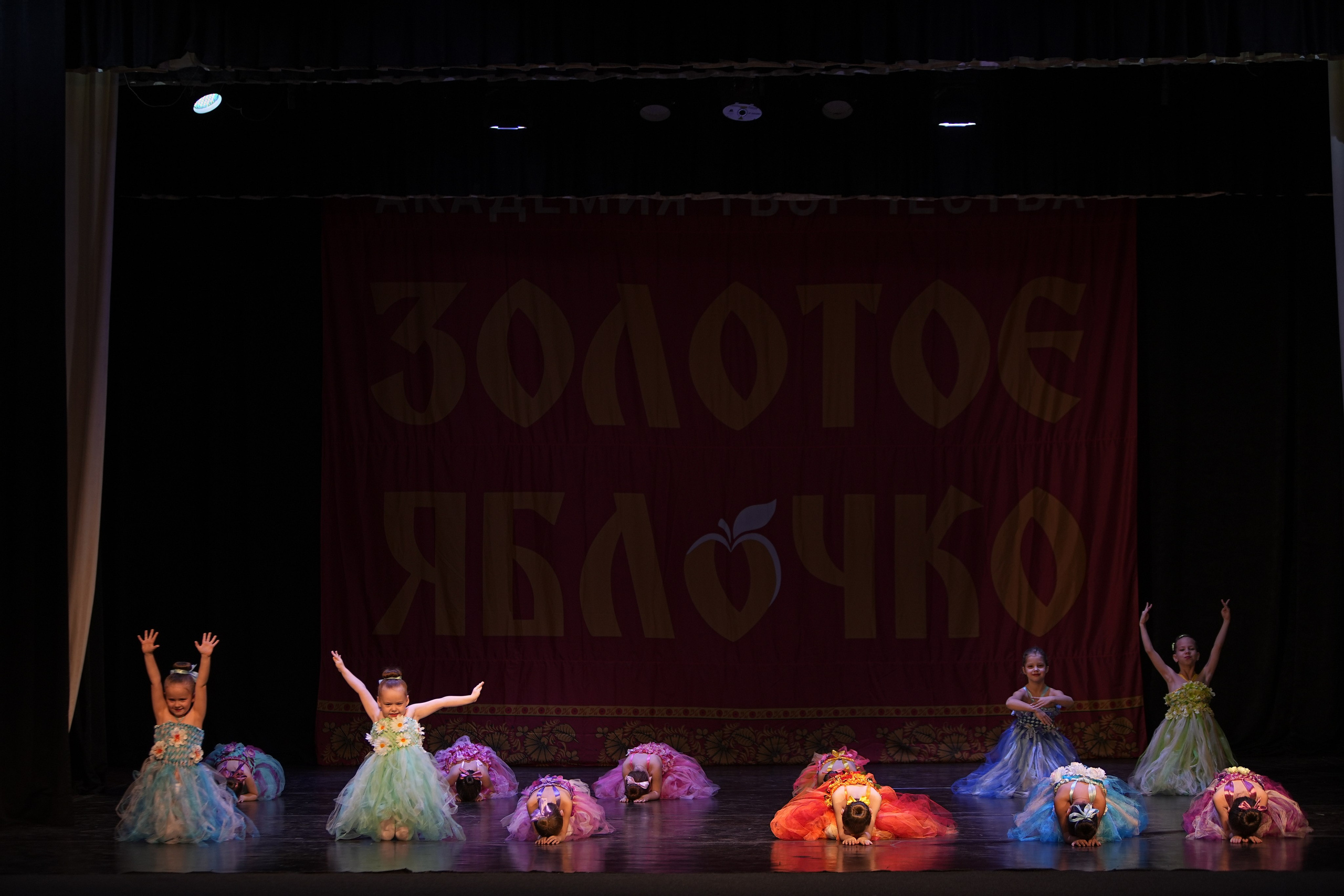 14 декабря, г. Тула. Золотое яблочко