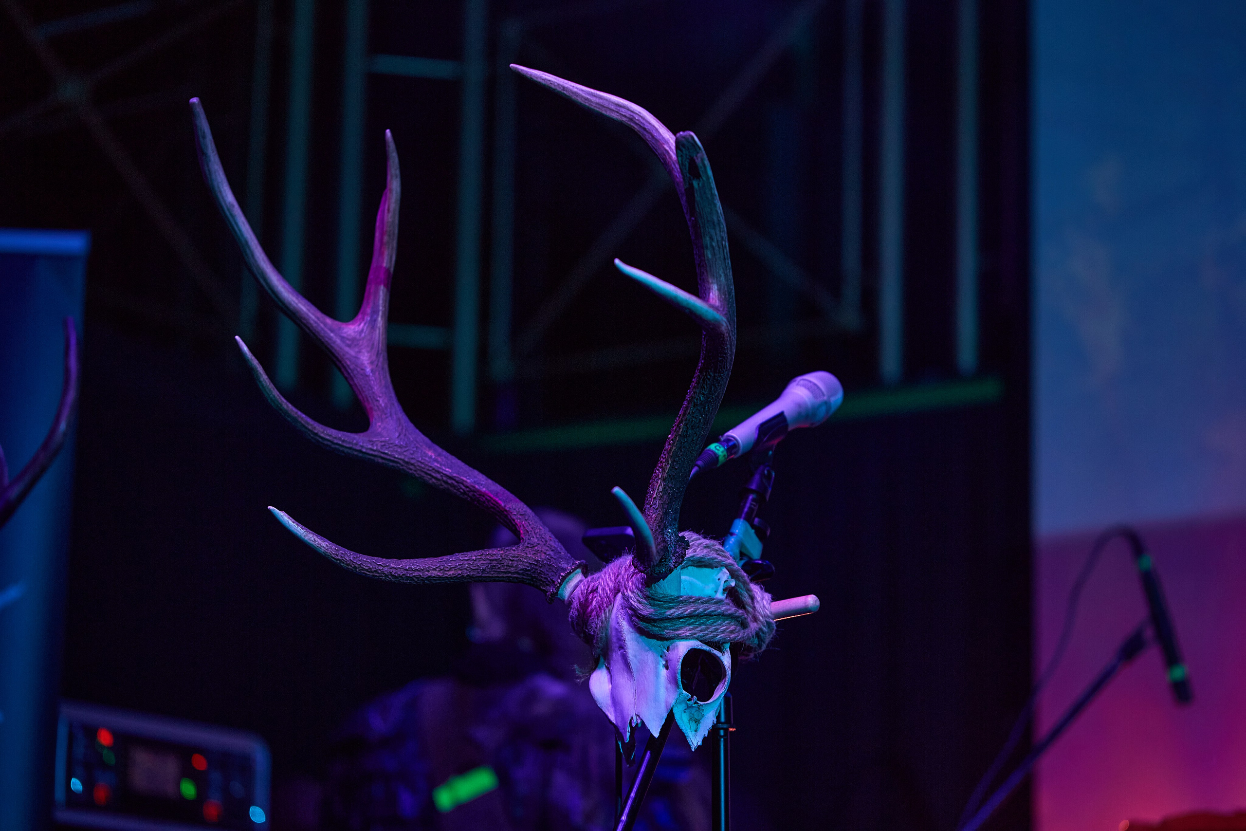 2023-12-24. Мещера