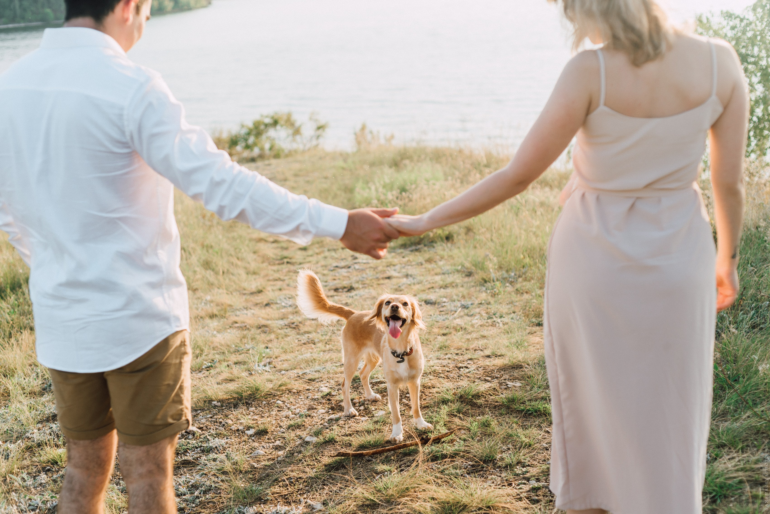 рыжий пес и пара