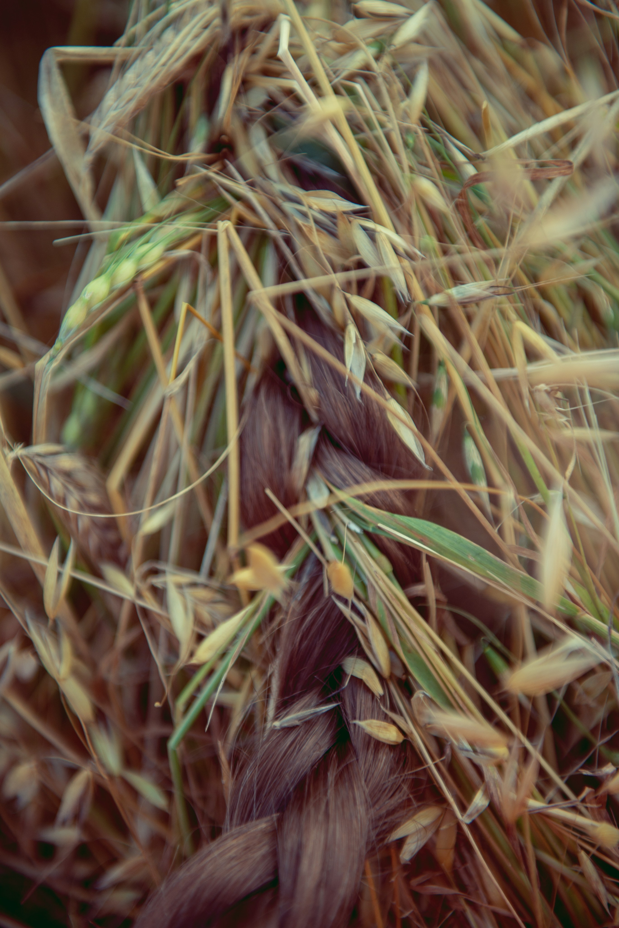 Уличная съемка. Портретный фотограф Марина Тамбовская