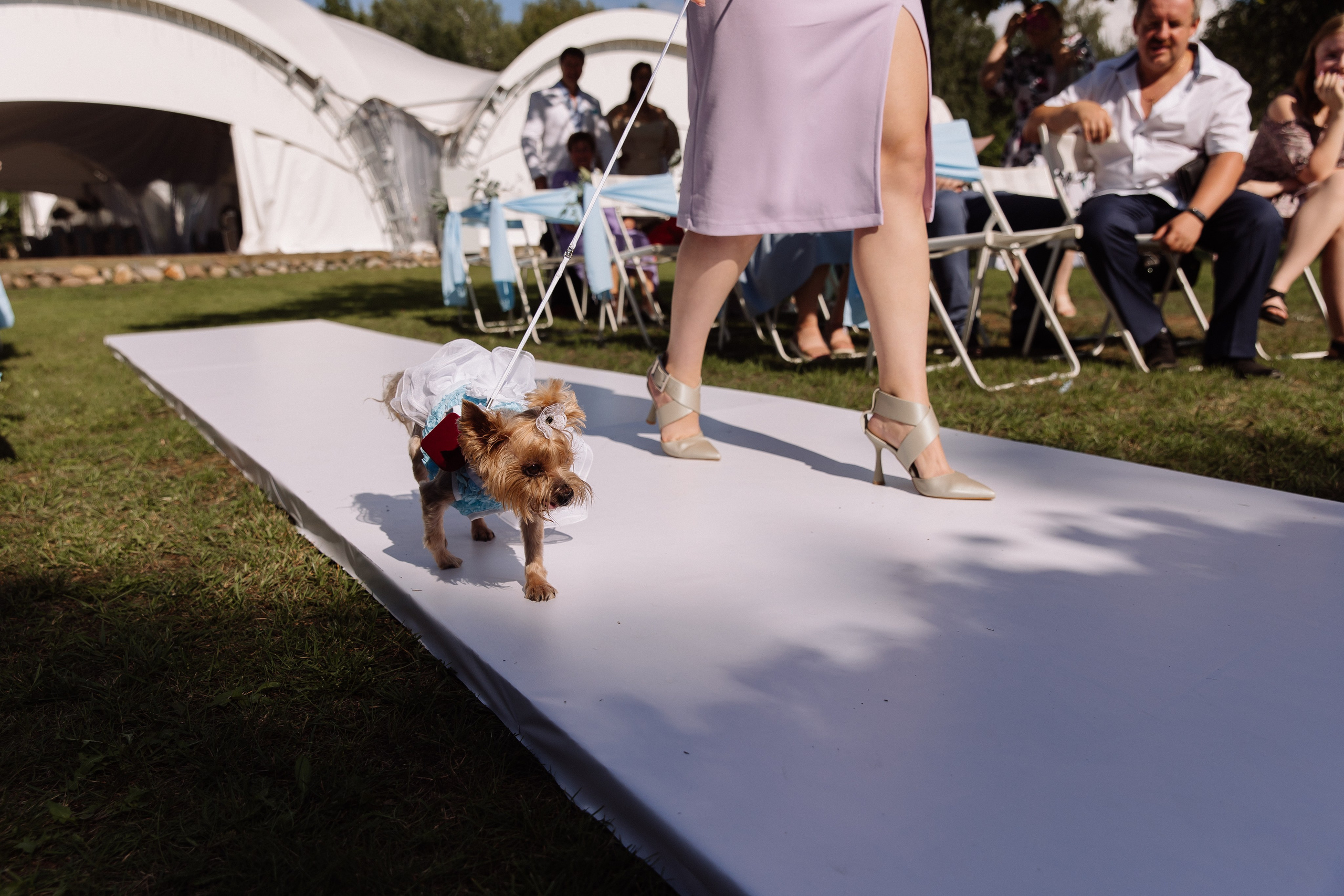 Карина & Александр. Фотограф Королькова Татьяна