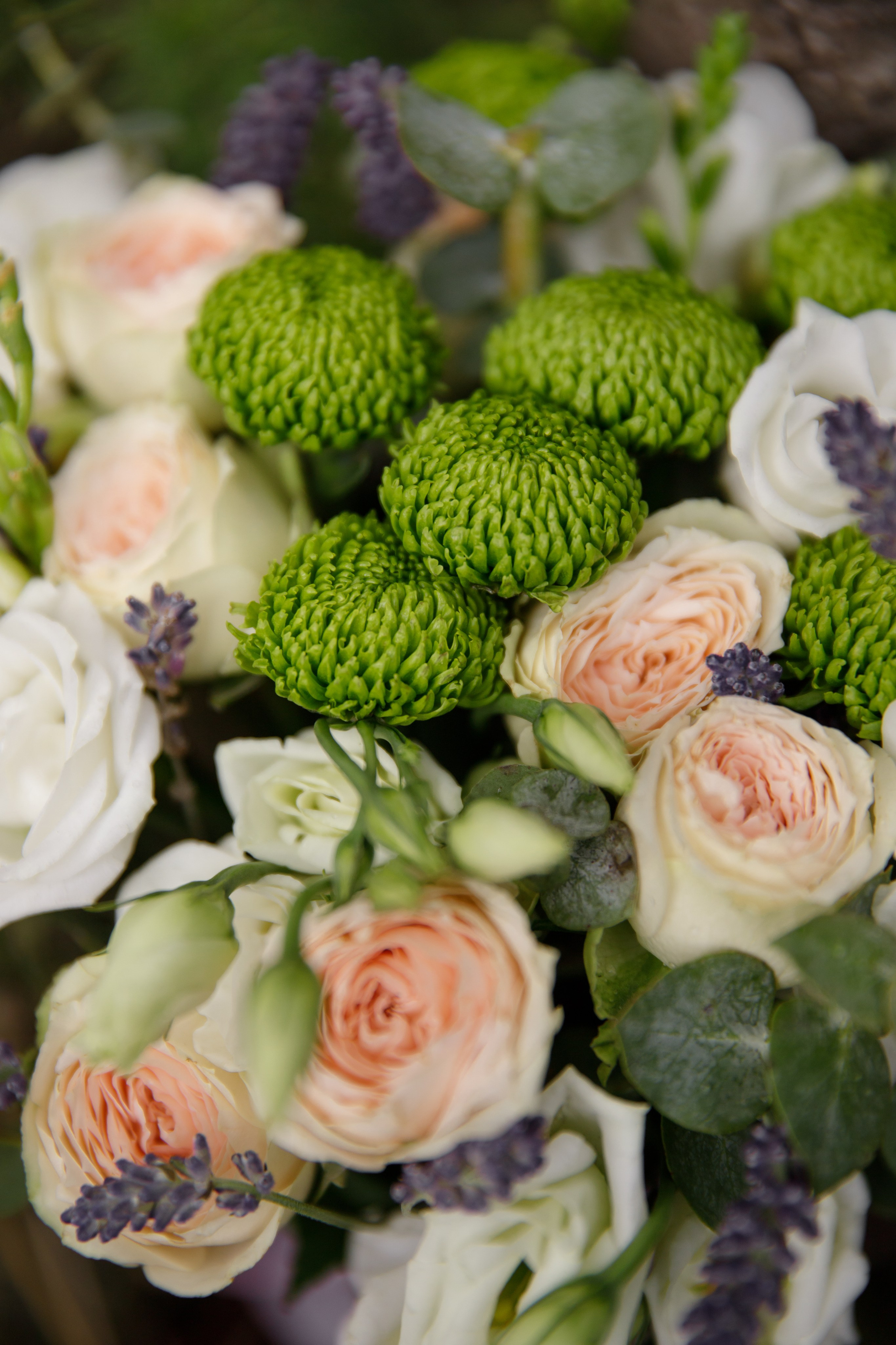 Александра и Вячеслав. Светлана Иванова - профессиональный фотограф