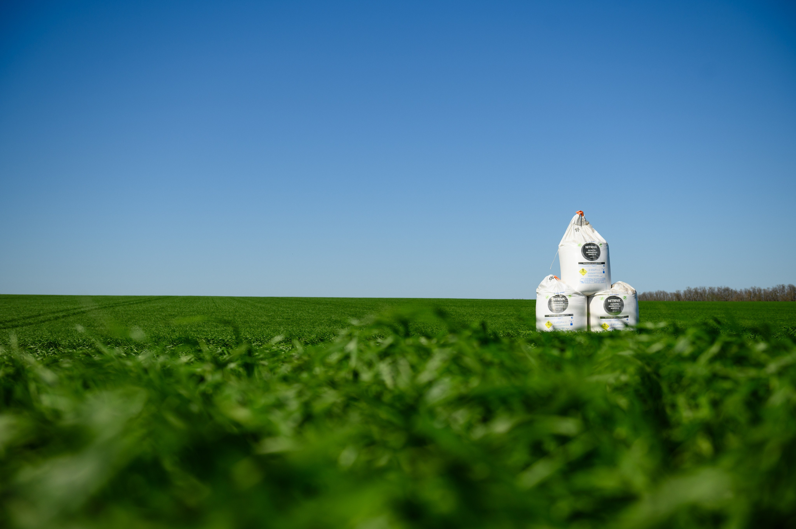Проекты. Профессиональный фотограф Вячеслав Плацында | Липецк |