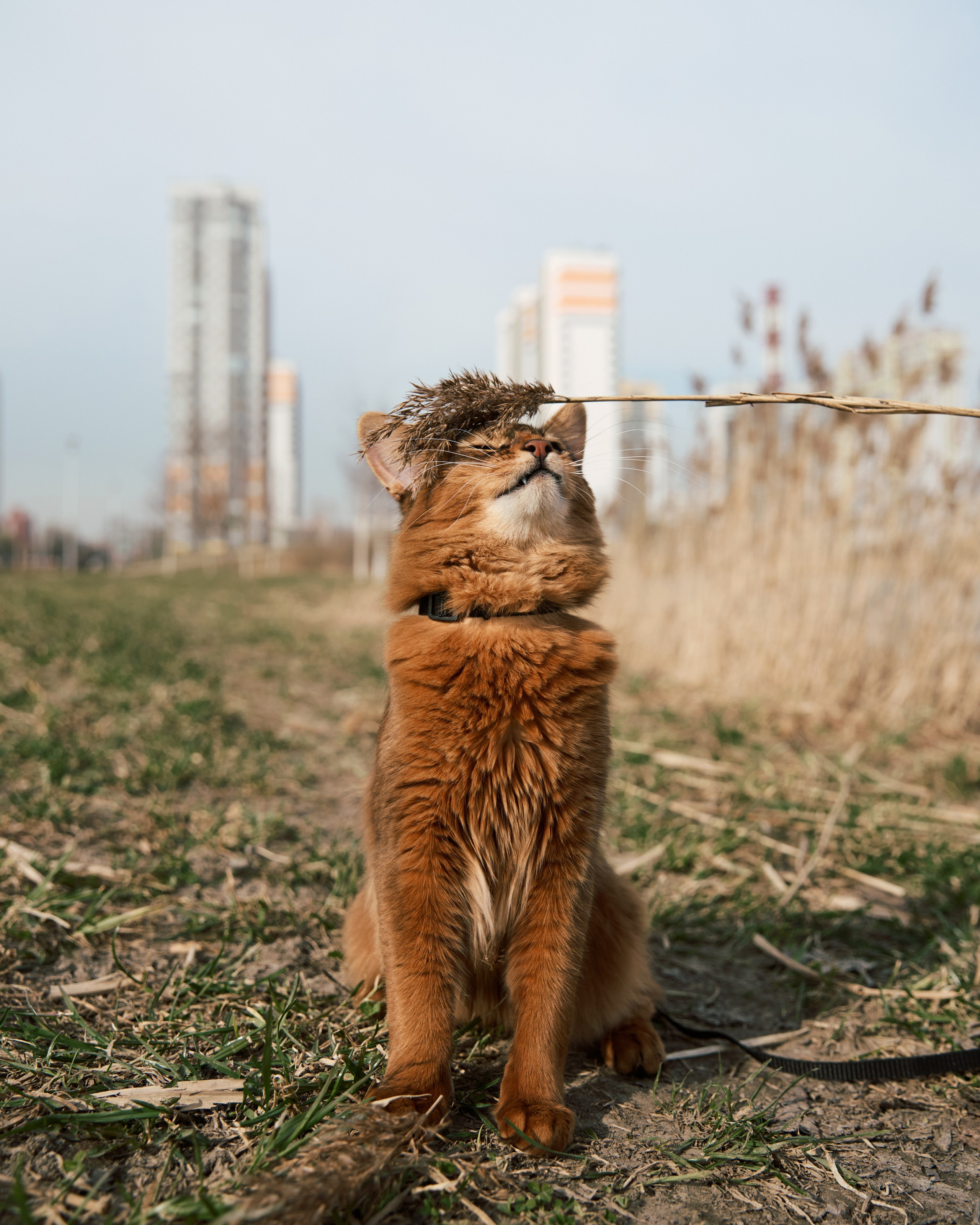 Rufus. Творческий фотограф в Санкт-Петербурге — Никита Шохенмайер