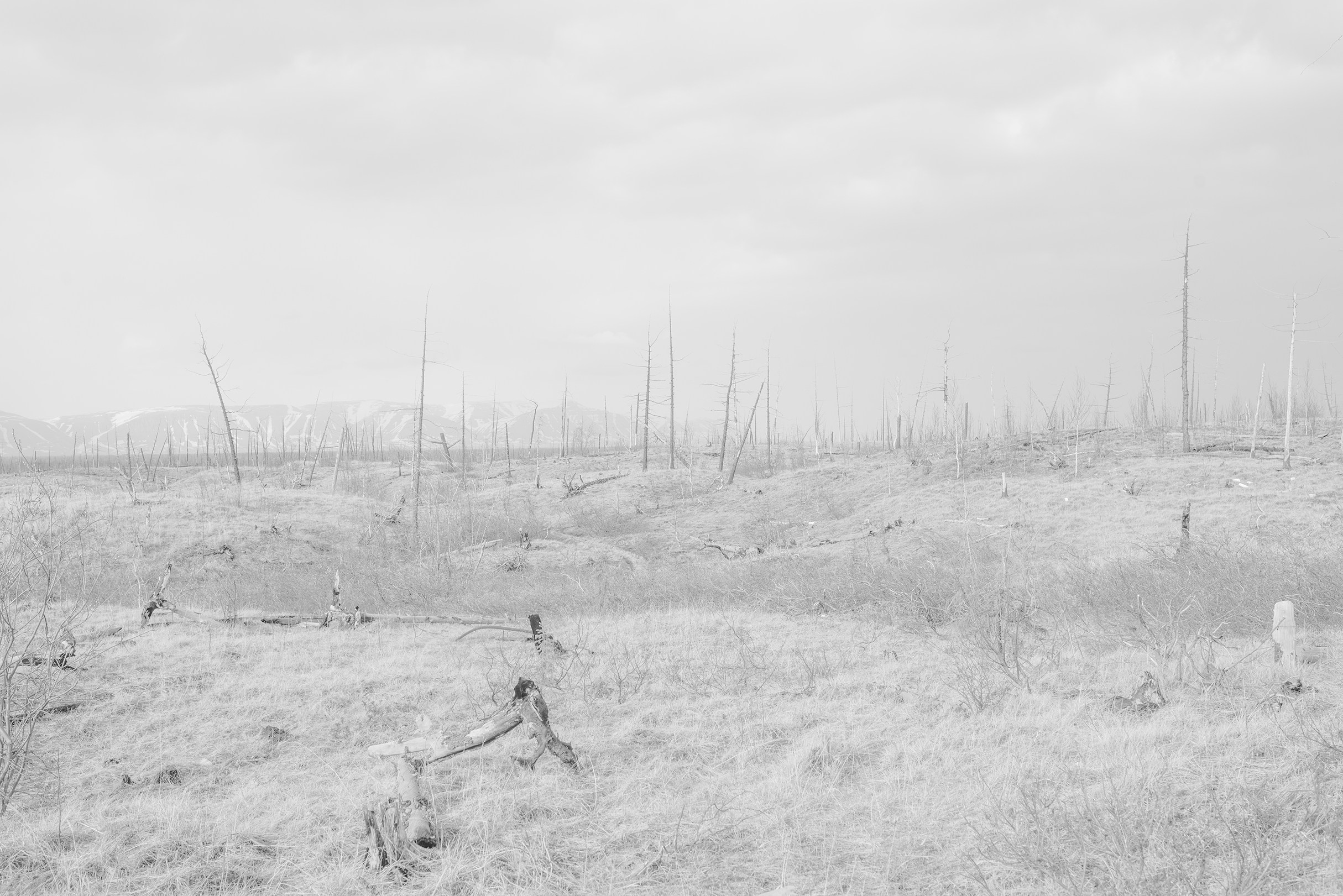 Real Darkness Has Love for a Face. Lesha Pavlov