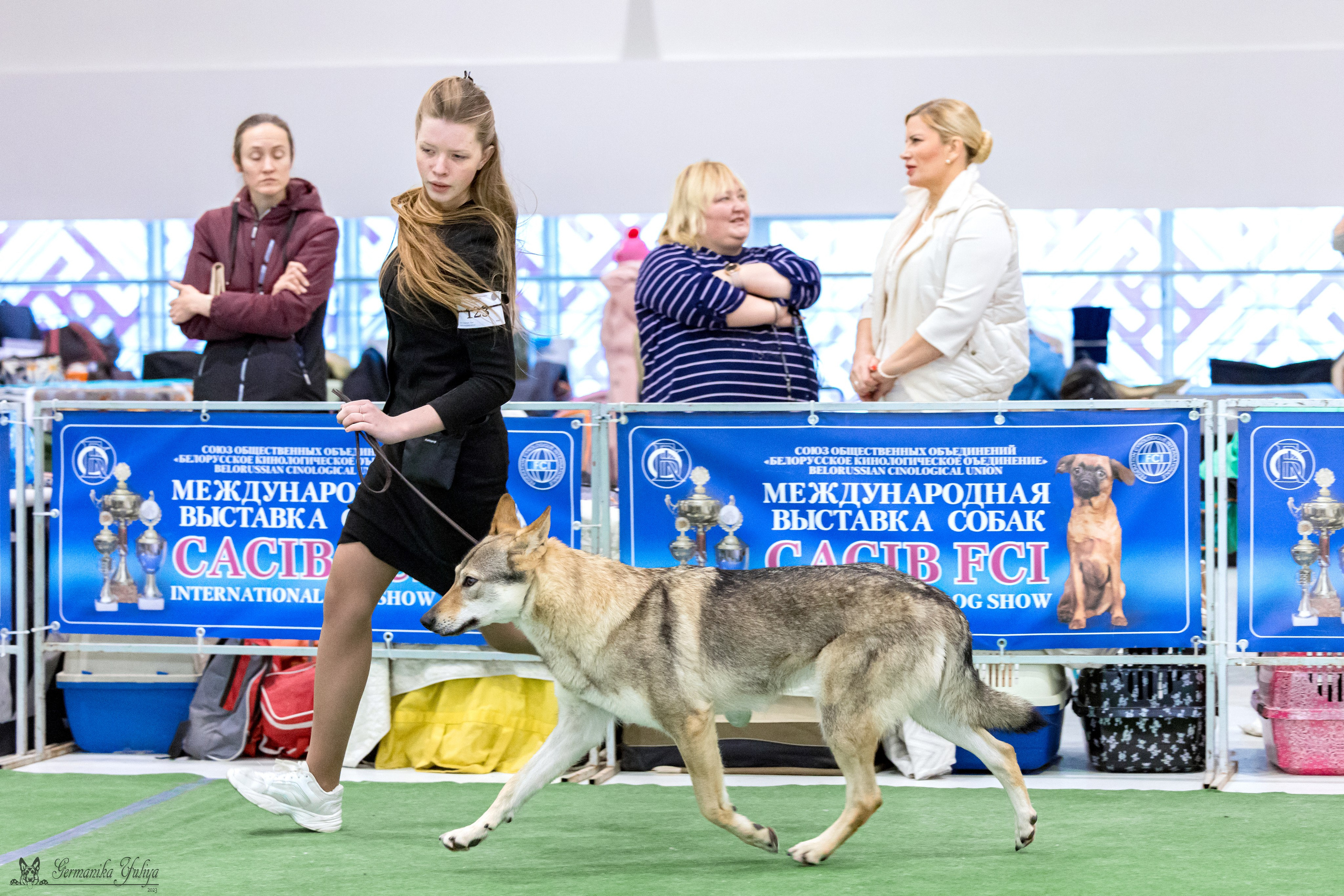 Минск 25-26.11.2023. Фотограф-анималист Юлия Германика
