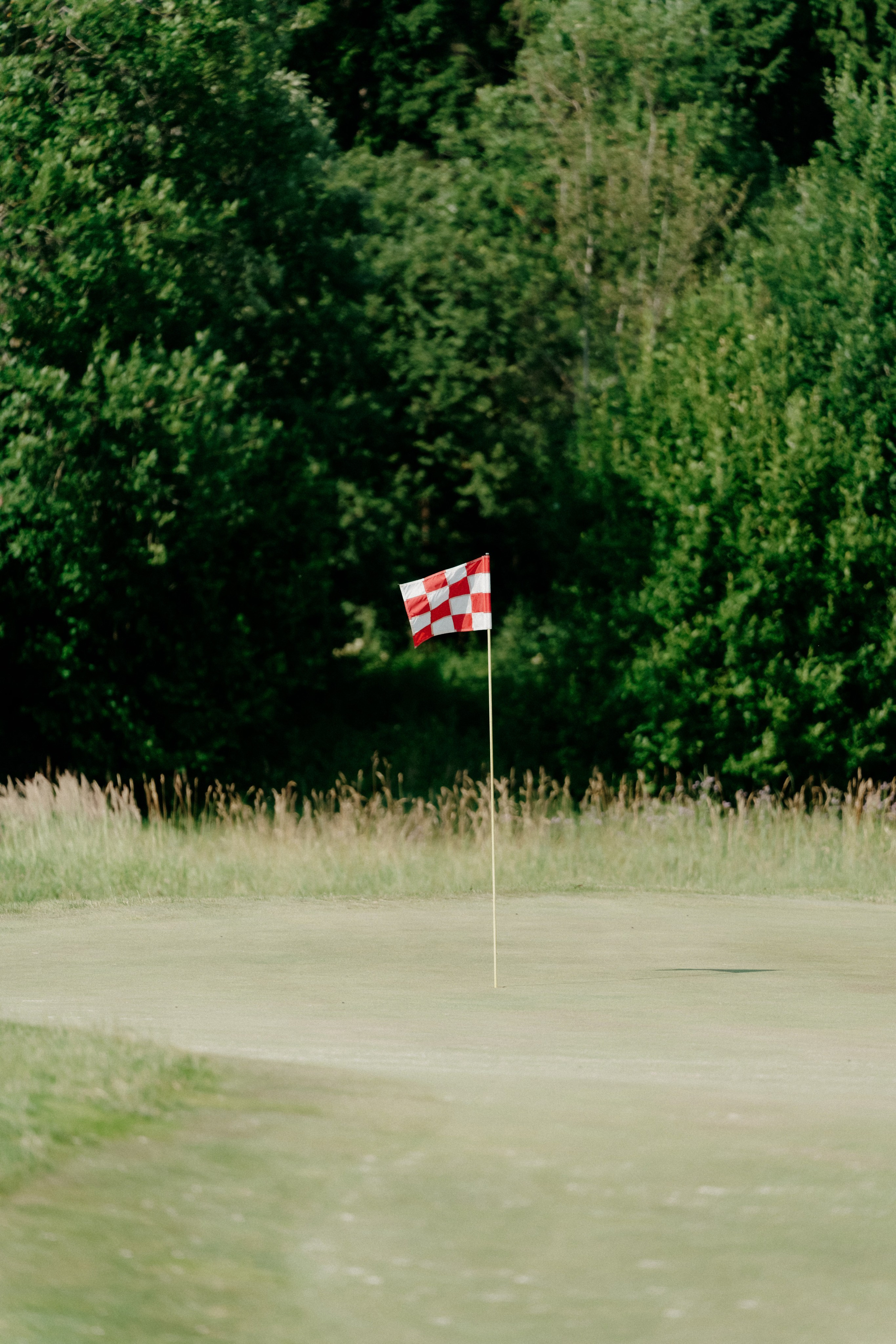 Целеево. Фотограф в Москве Дмитрий Рогов