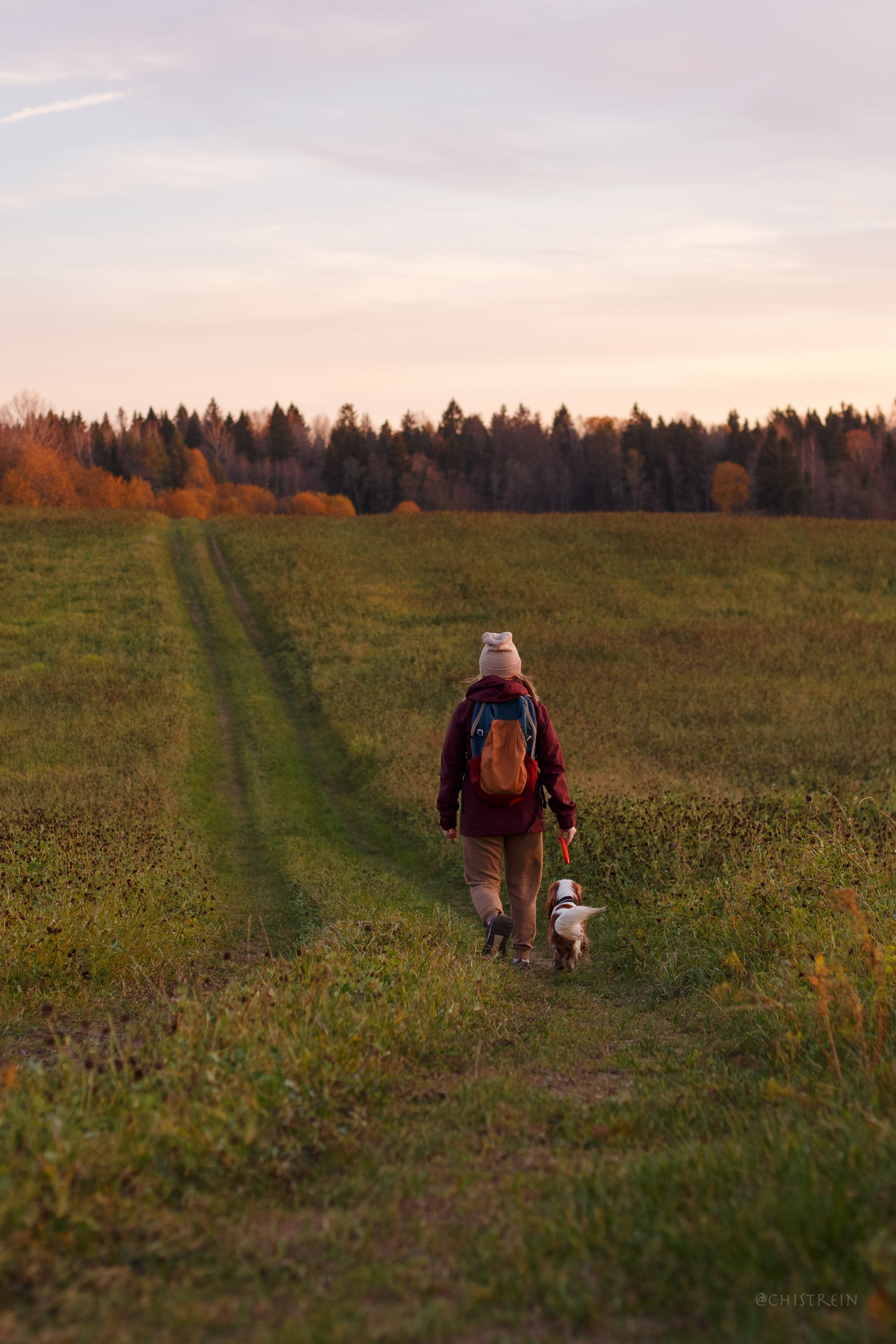 Октябрьский закат в полях. Алина и Лео. Фотограф-анималист Наталия Чистюхина в г. Сосновый Бор и ЛО