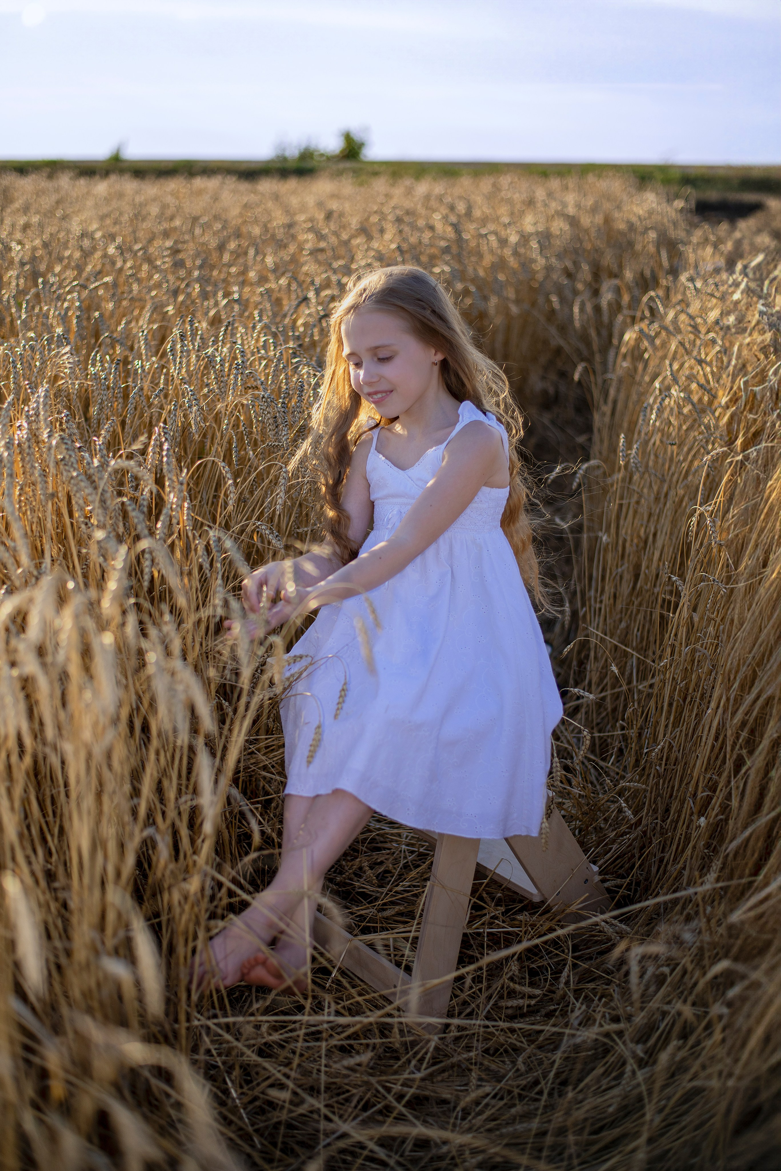 Пшеница. Главная