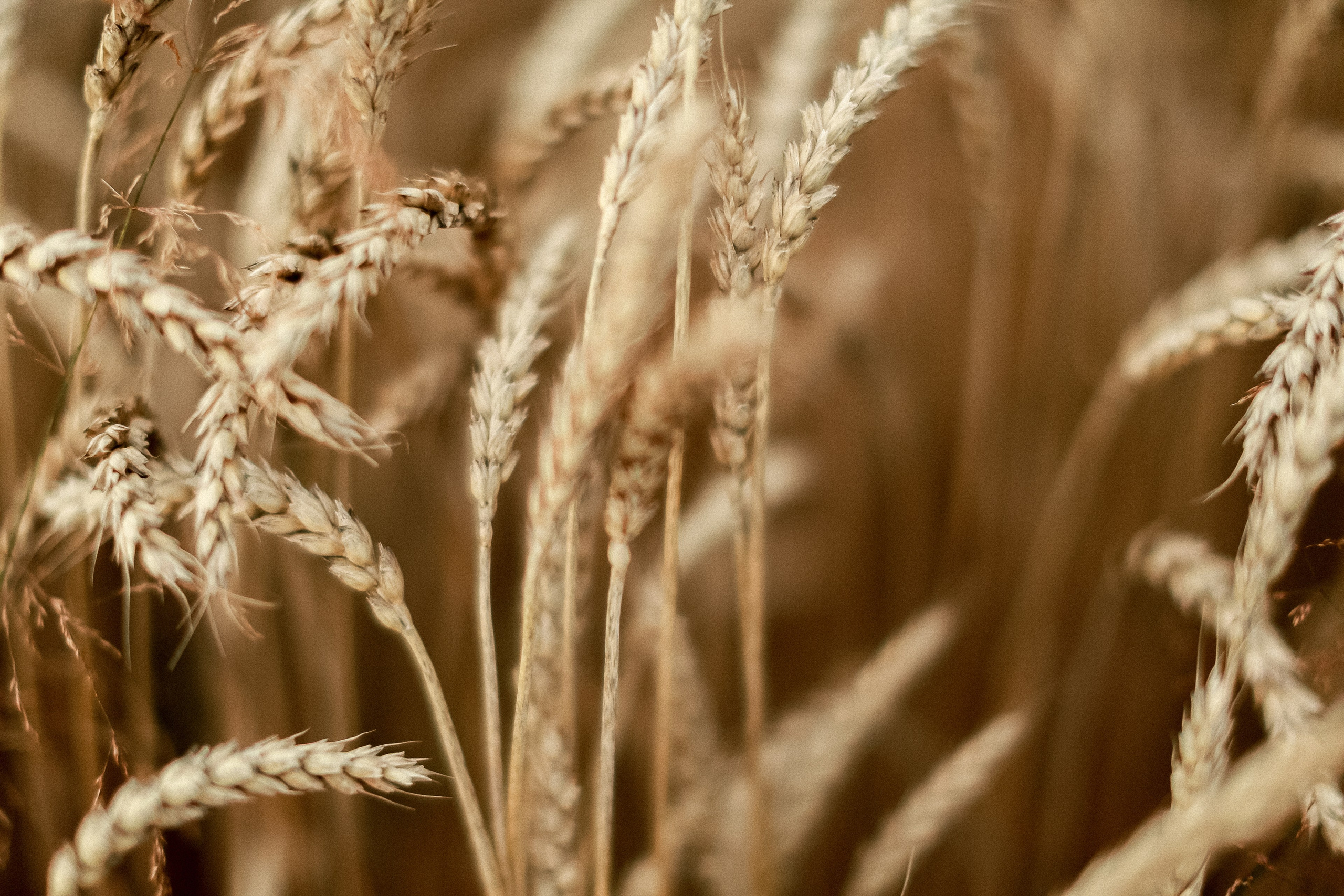 Магия обыкновенного. Фотограф-документалист и фототерапевт Настя Китаева. Город Москва