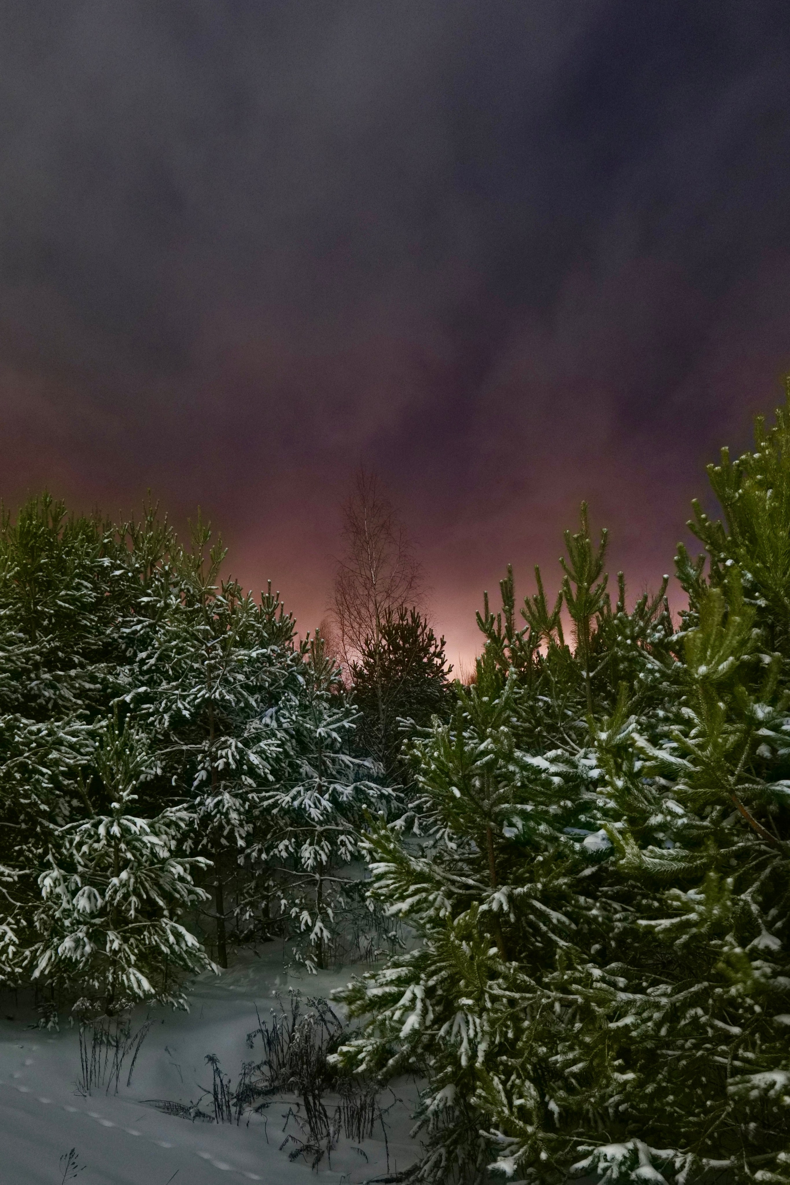 Визуальный дневник фотографа