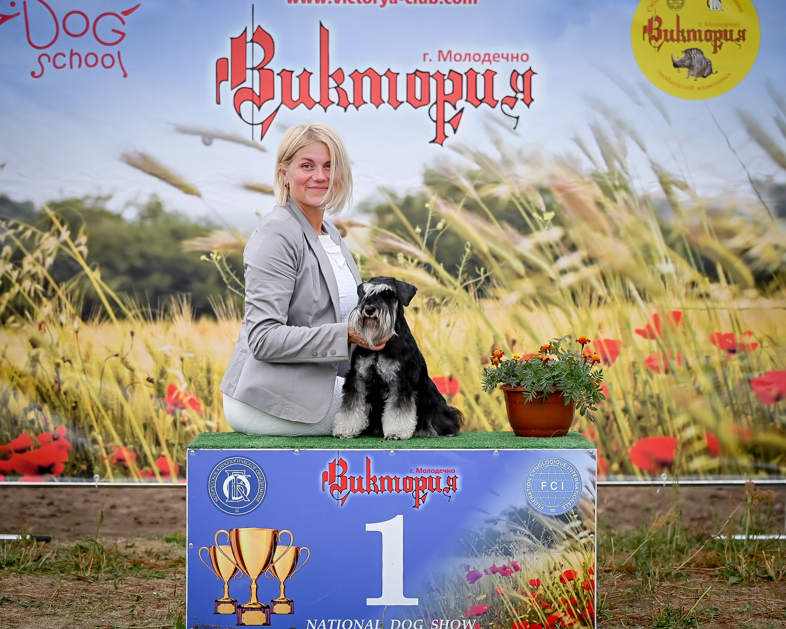 Питомник Делинсо Бэлэнс, щенки цвергшнауцера, купить щенка цвергшнауцера, питомник цвергшнауцеров, кобель цвергшнауцера для вязки, щенок цвергшнауцера, питомник цвергшнауцеров, черный с серебром, цверг, лучший питомник в беларуси