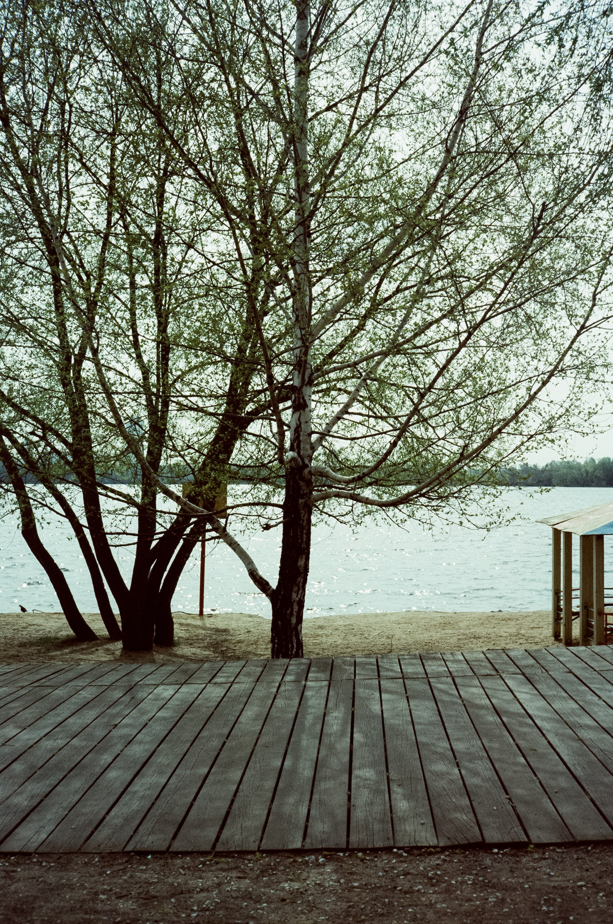 Ricoh 500GS / SFL 200T / Строгино тестовая пленка апрель 2024 г