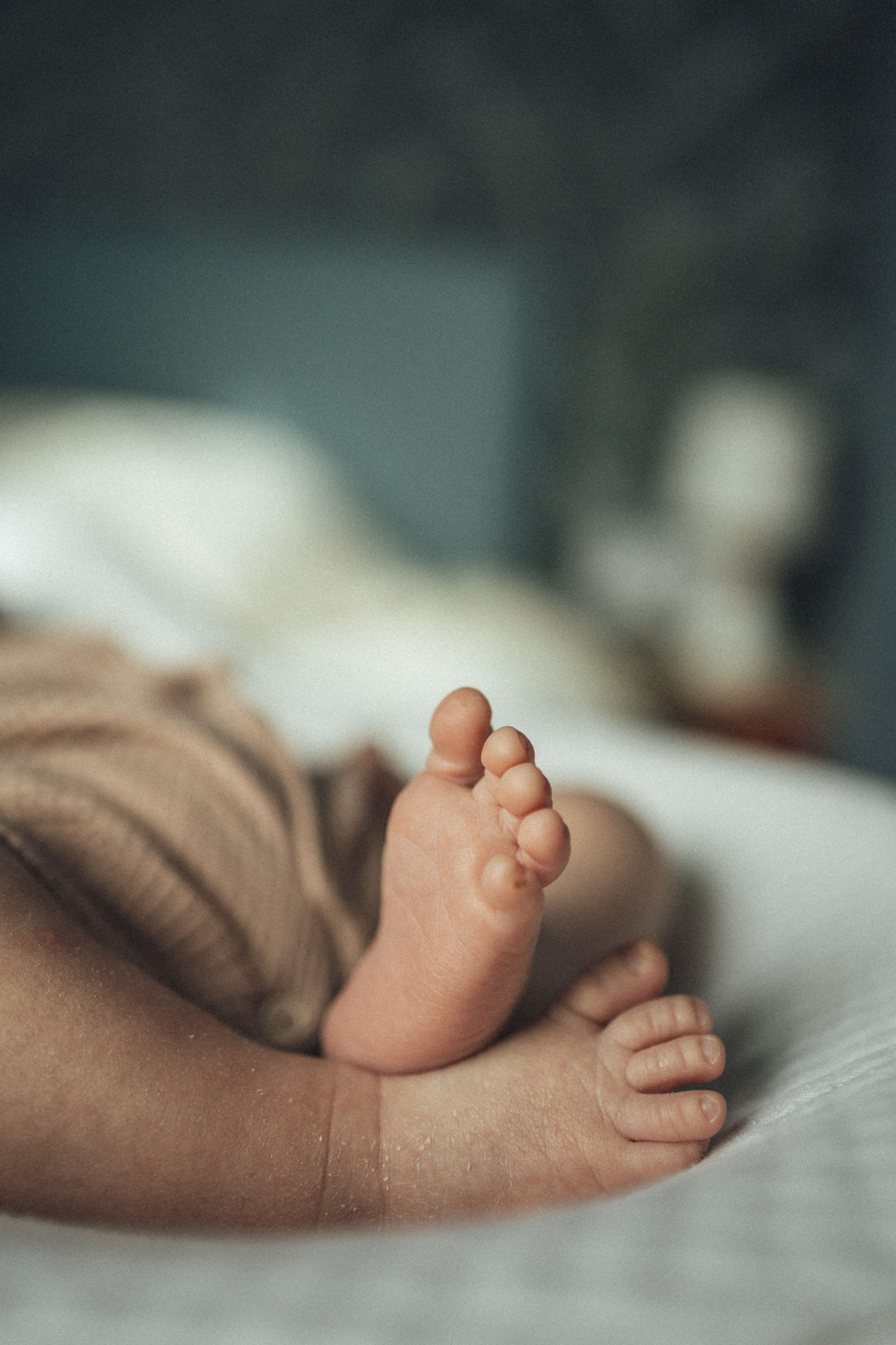 Гриша родился. Семейный фотограф Елена Баган Волгоград