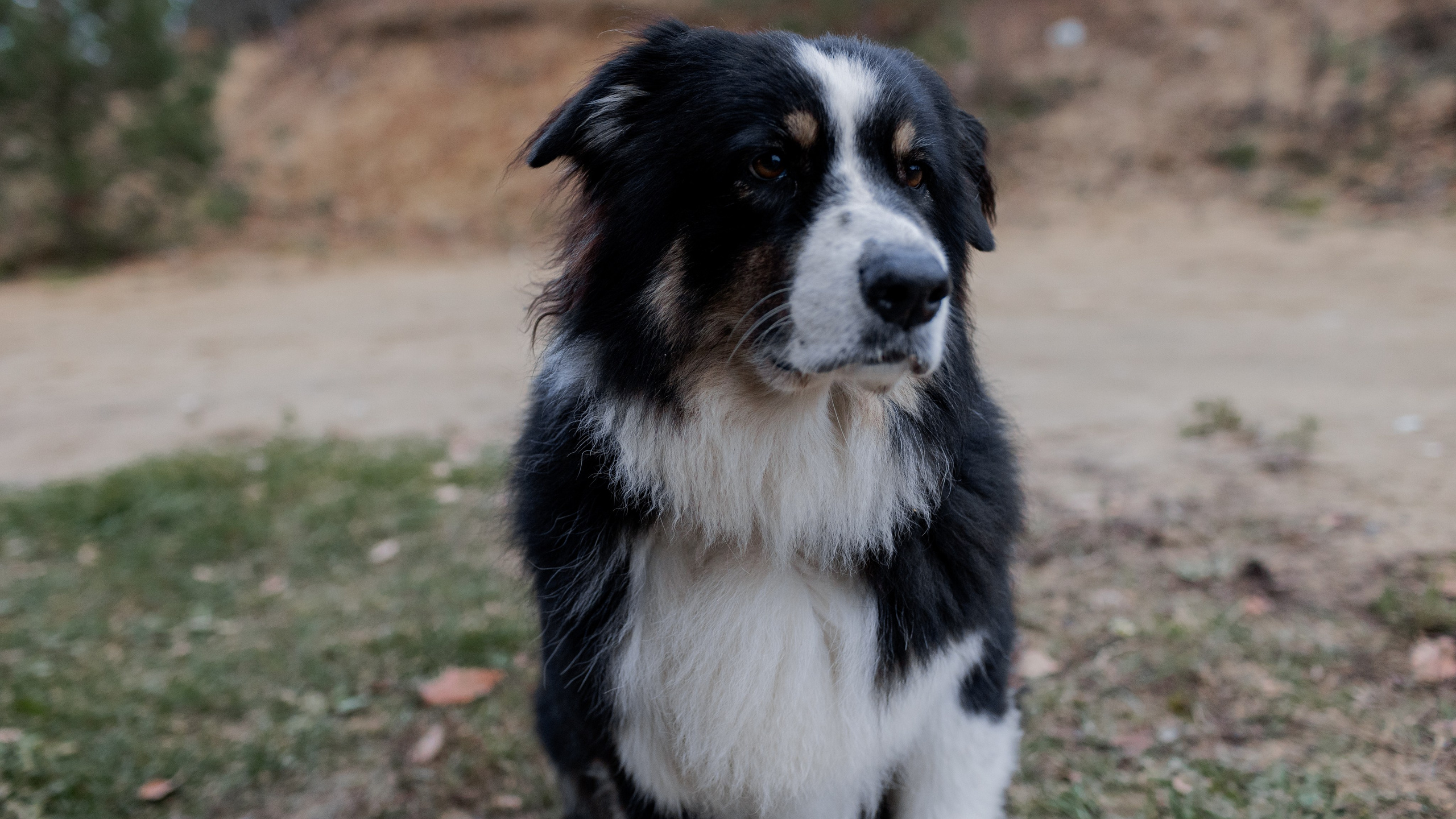 Съемка для глемпинг-отеля Хюгге Кэмп. Природа. Саша Кушнерова Фотографии. Sasha Kushnerova Photos