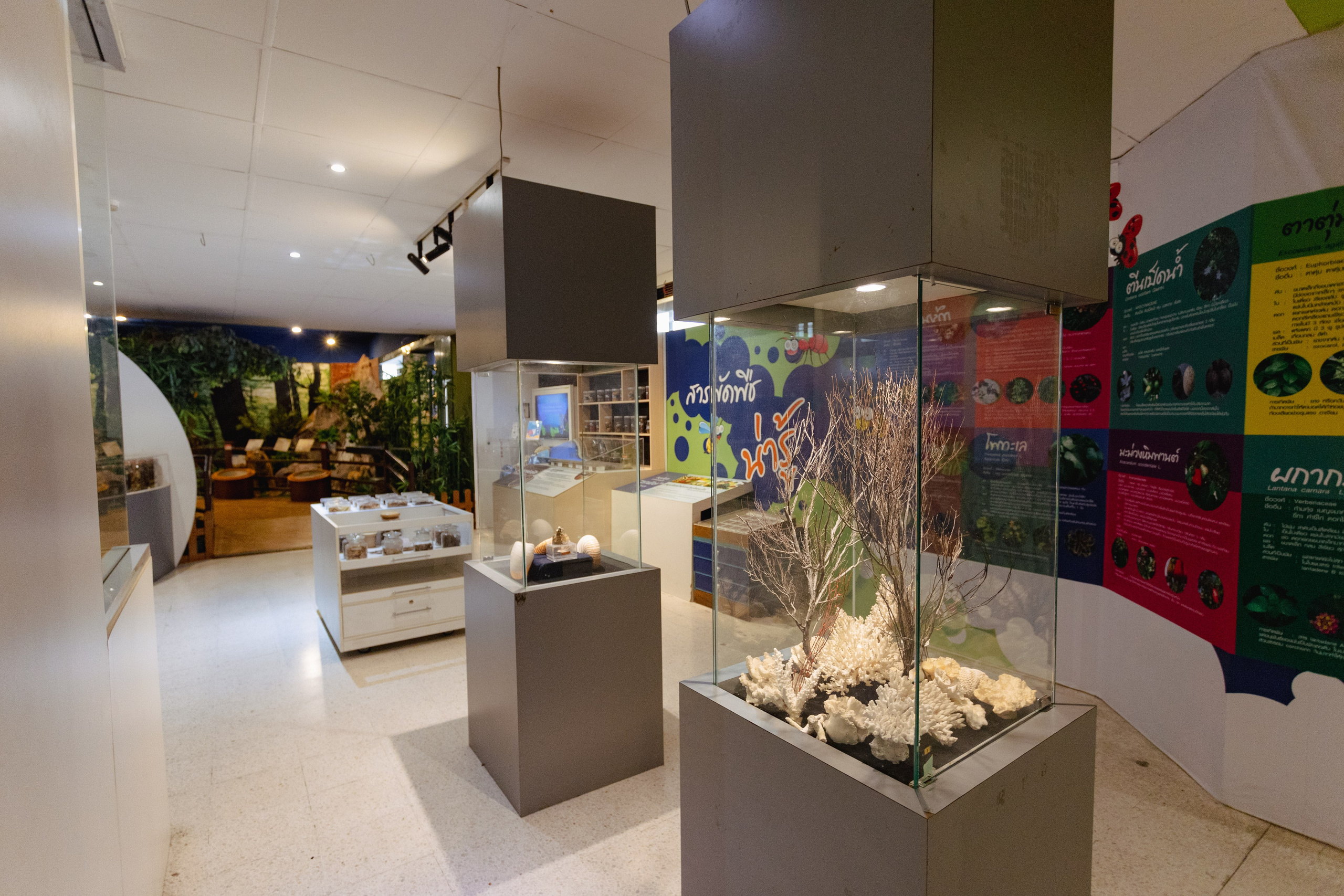 Bangkok Planetarium. Photographer Sonkina Tatiana (Tanya Ash)