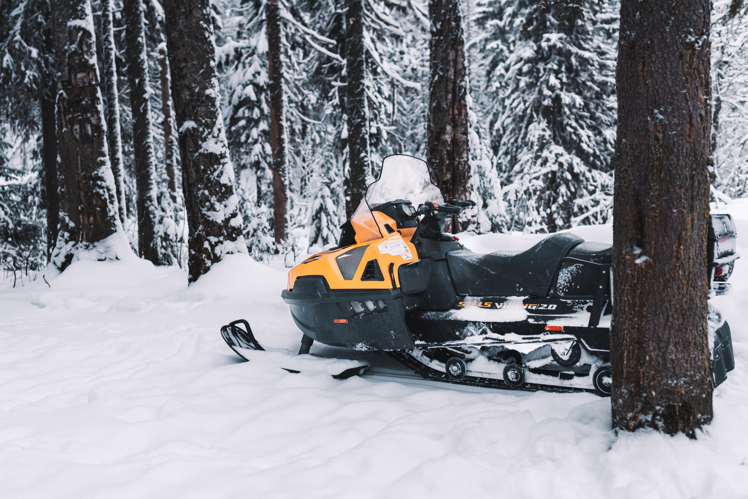 Экспедиционная фотосессия в горах/на природе