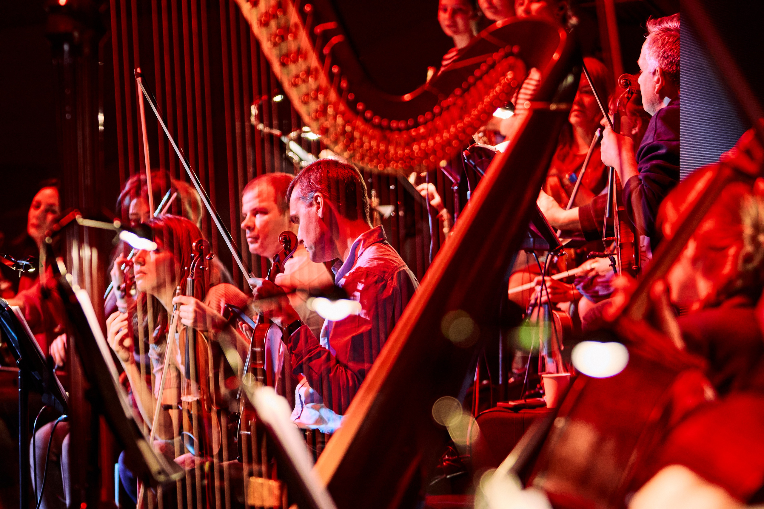 Concert. Репортажный фотограф, портретный фотограф  г. Москва