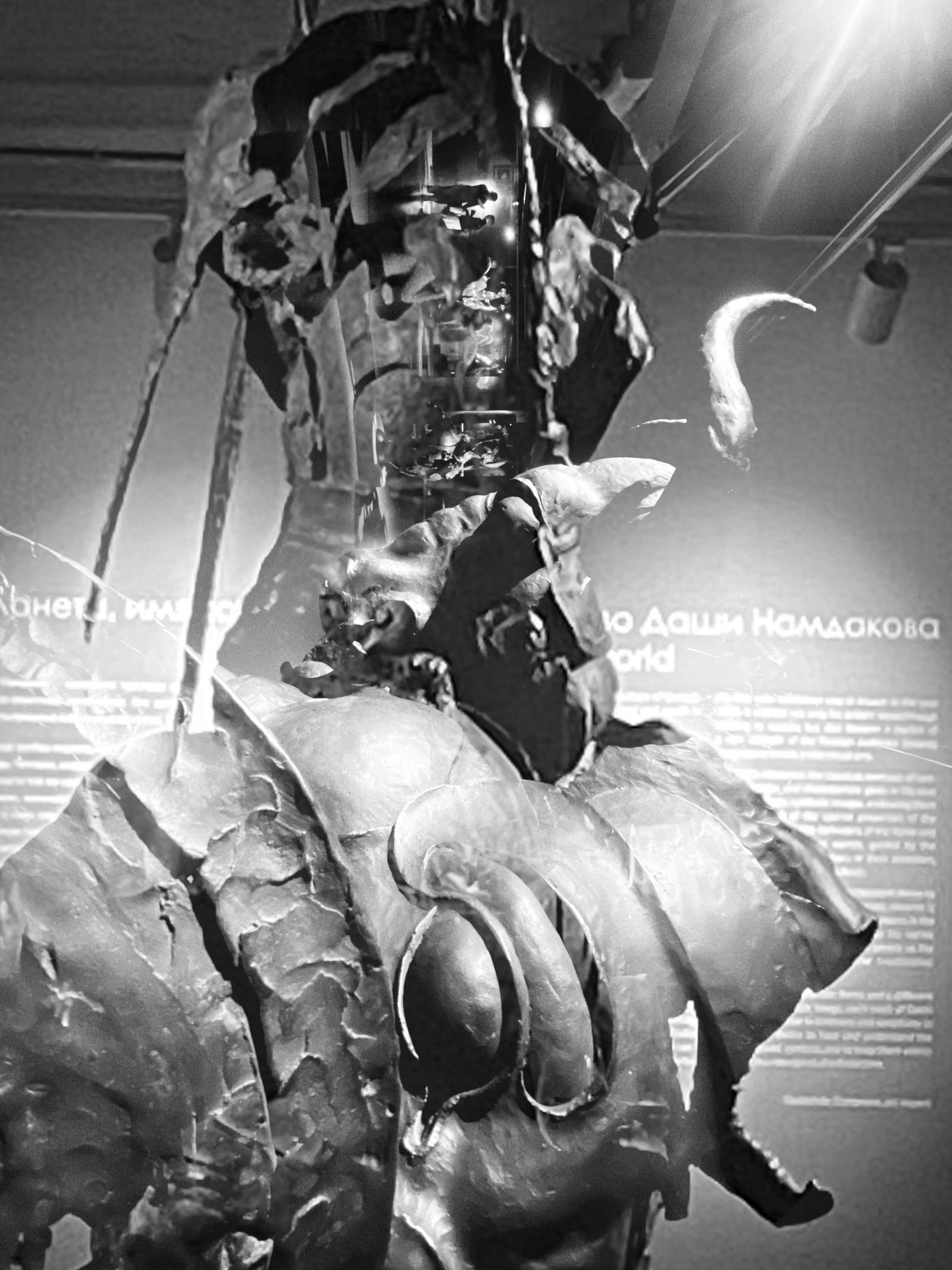 2025 год. Тащилин Сергей. Фотографии. Жизнь. Хобби