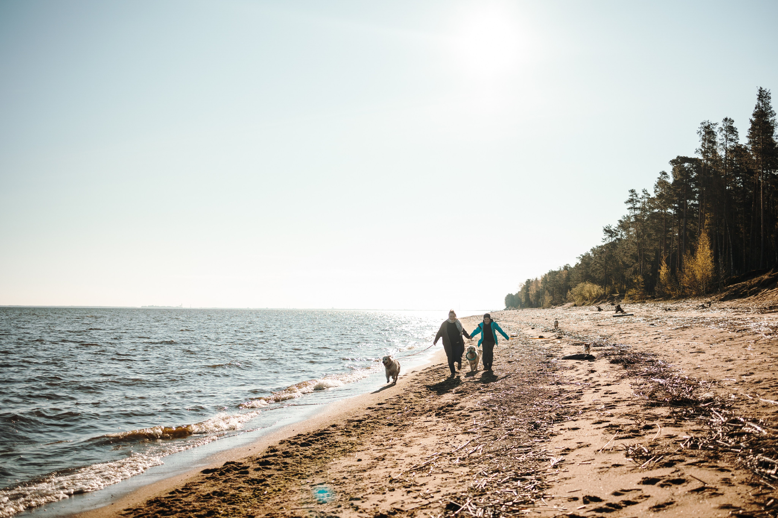 Катя и ее девочки. Фотограф — Анималист | Санкт-Петербург