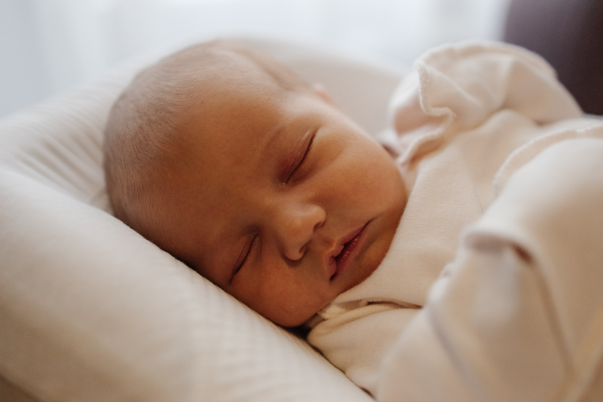 Гордей. Фотограф Новосибирск