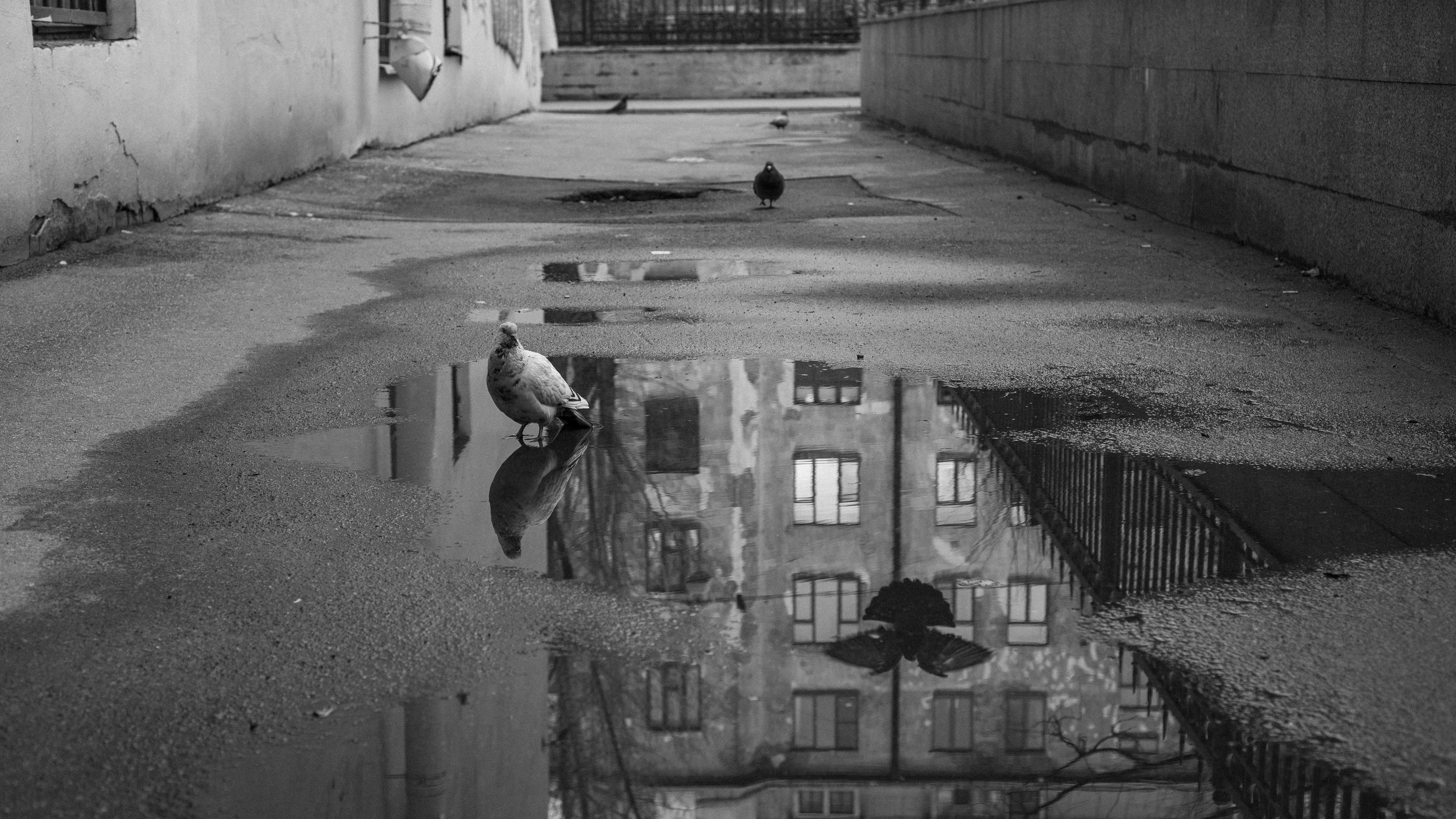 Андрей Корепов. Фотограф в Санкт-Петербурге