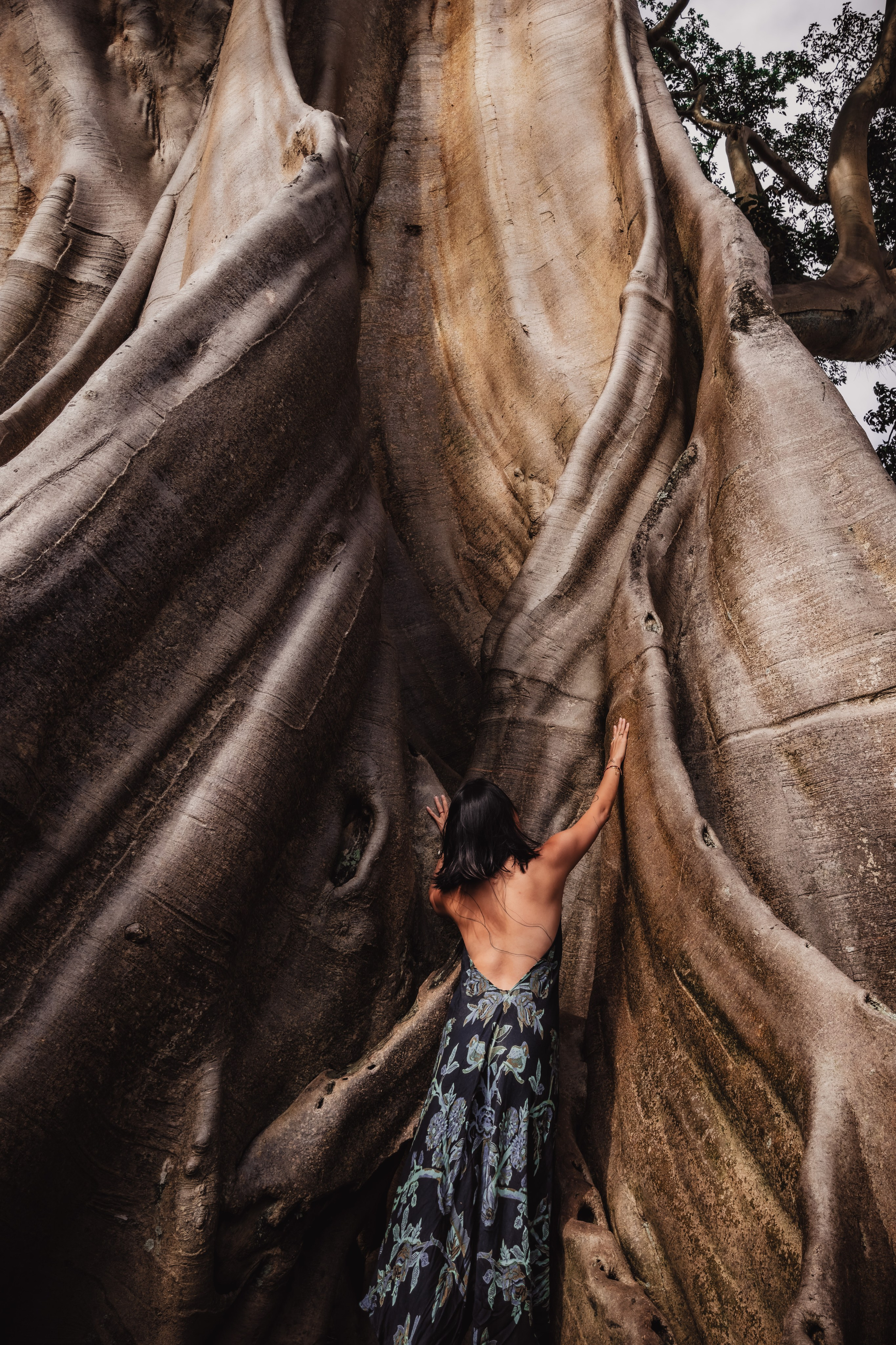 Banyan date. Mariam Bagdasaryan