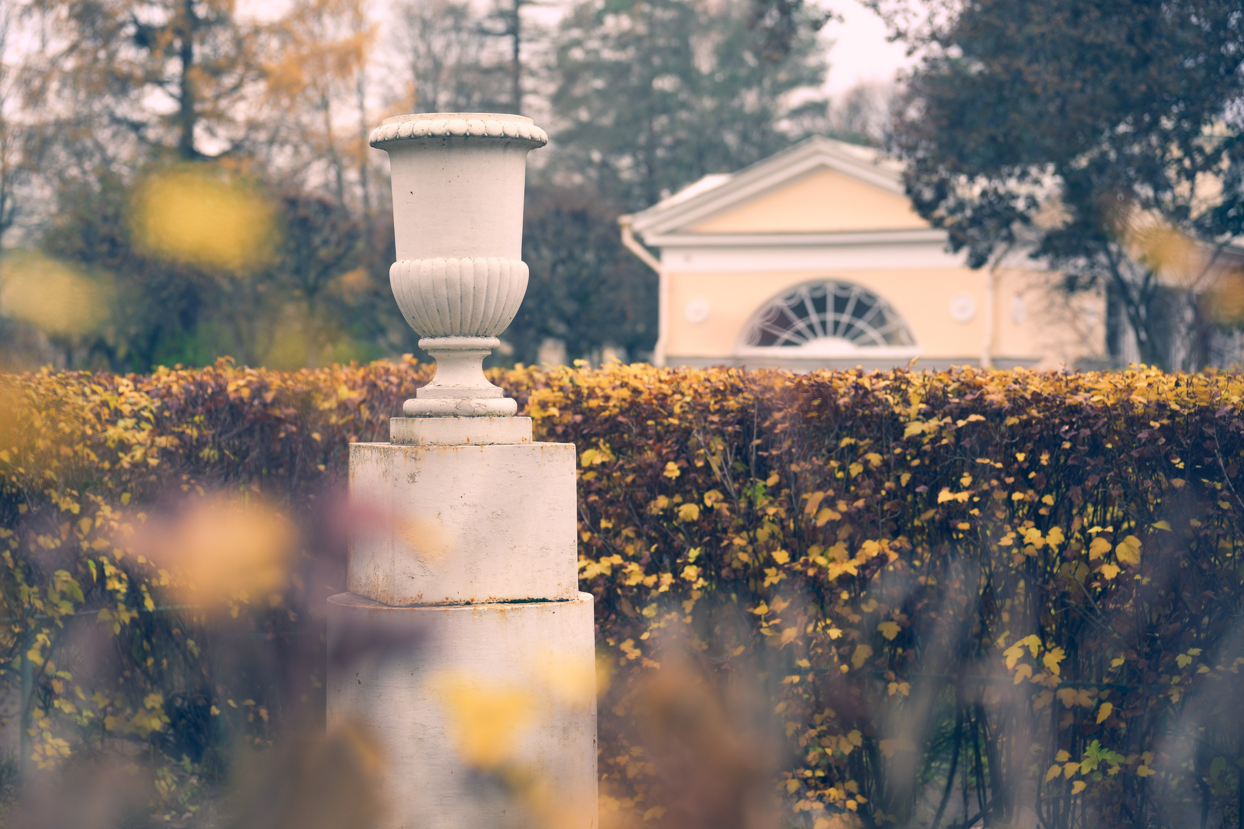 SAINT PETERSBURG | SUBURBS. Personal website of photographer Dmitry Raikin