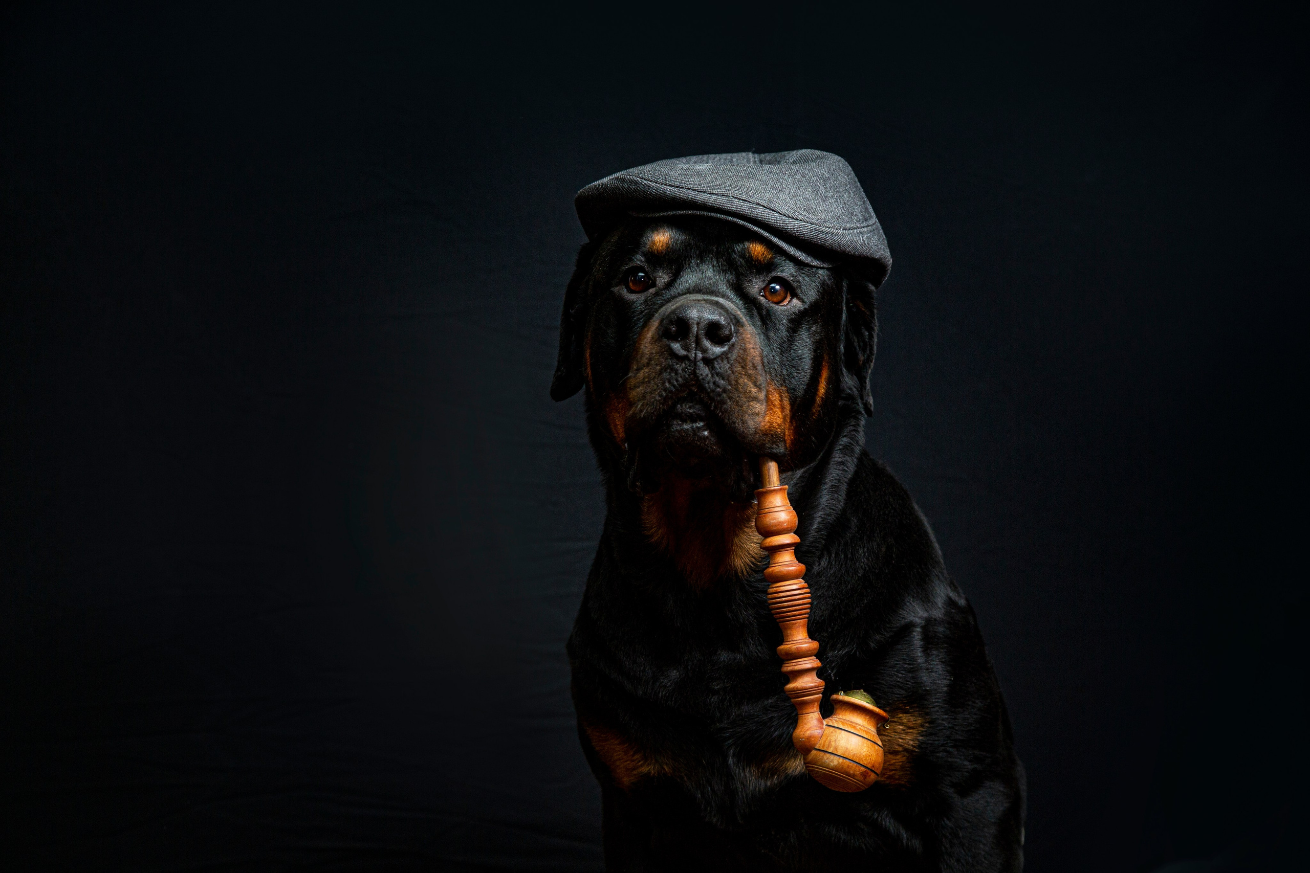 Животные. Авторские туры с профессиональным фотографом