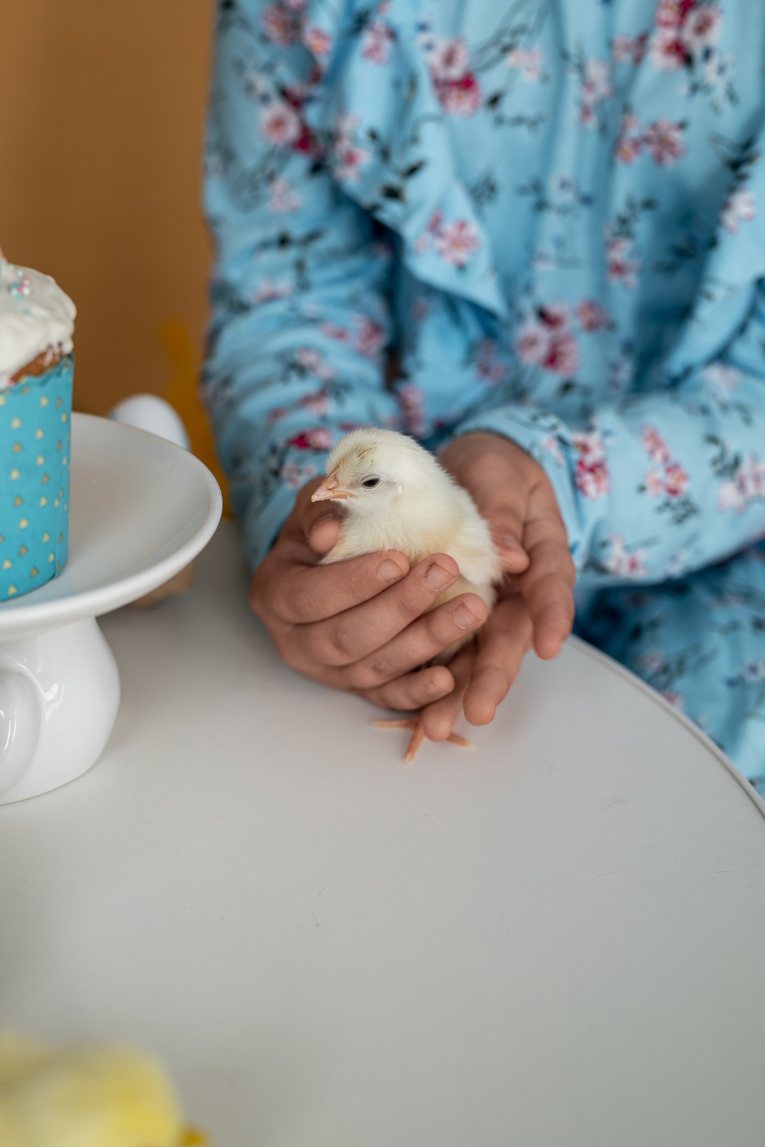 Пасха 2025 г. Фотограф в городе Салават