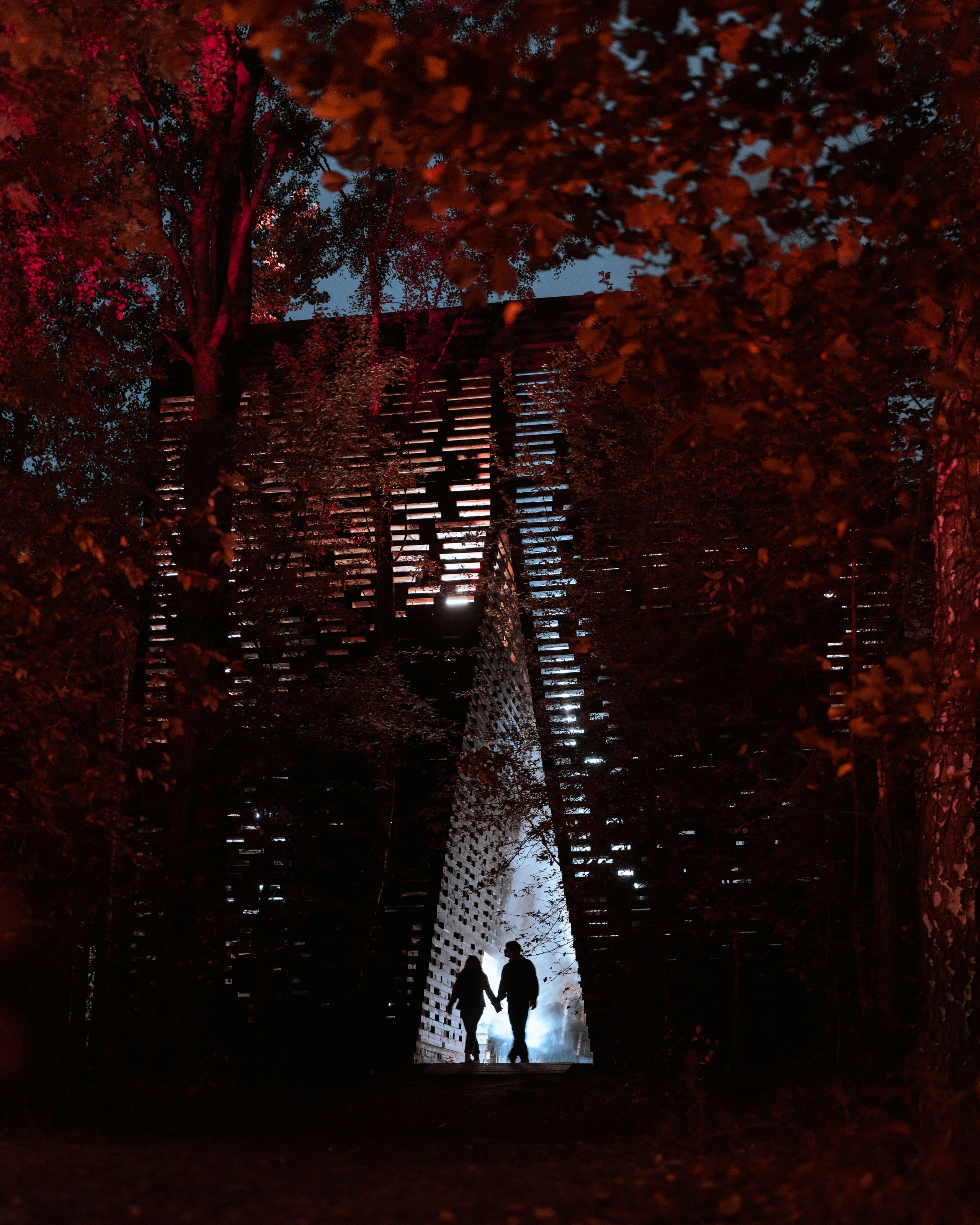 Signal 2024. @tomrus: Рустам Шагиморданов — фотограф