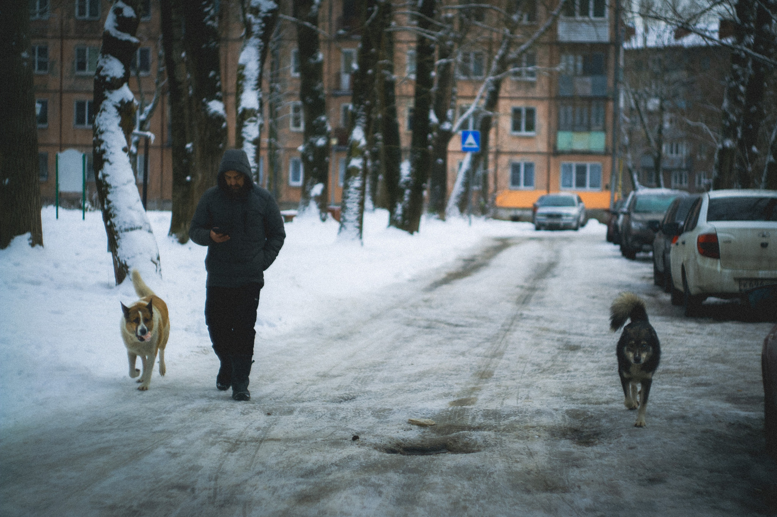 За&nbsp;хлебом