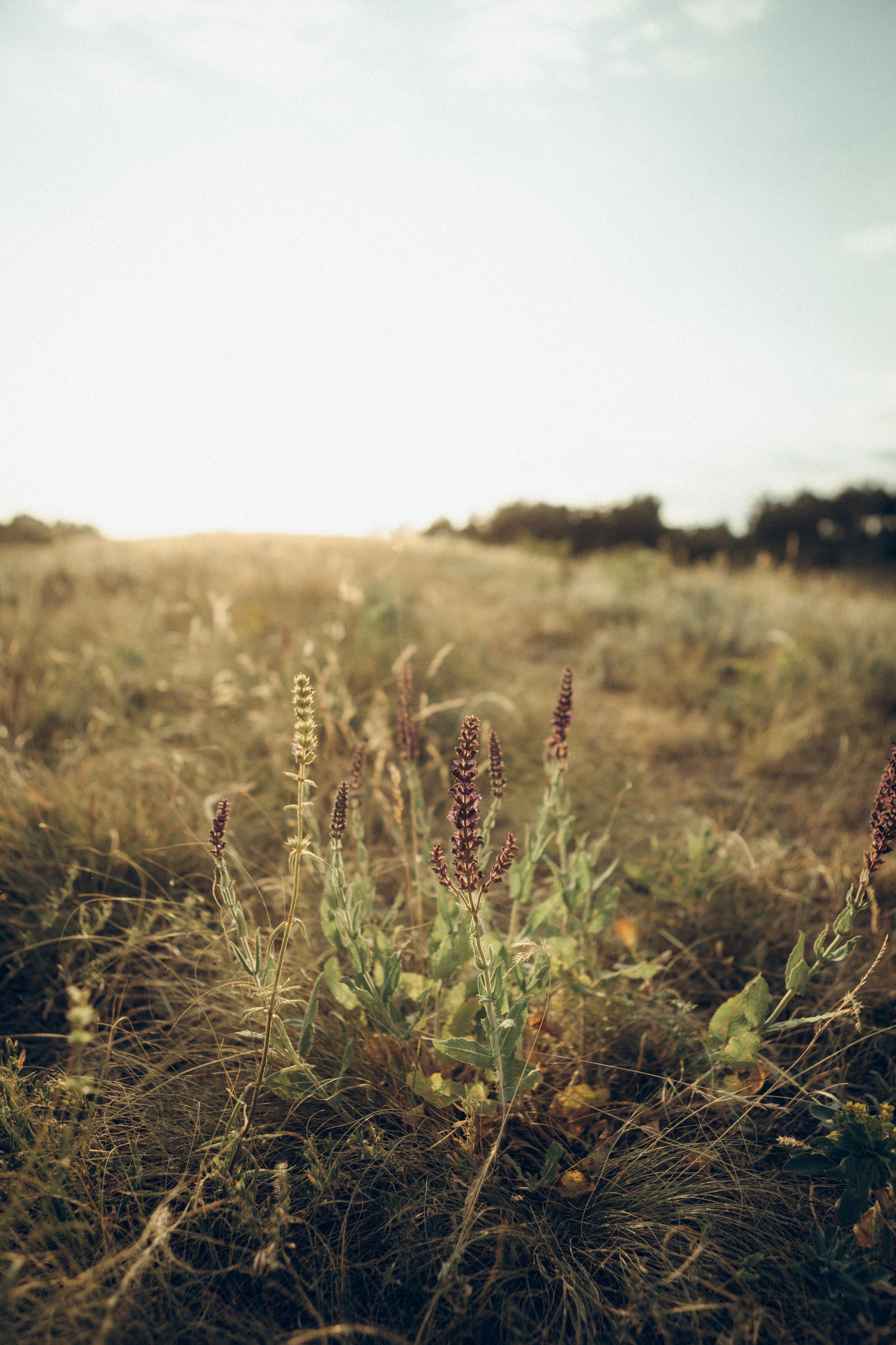 Оксана, Артем и Тимур. Семейный фотограф и фотограф на роды в Ростове-на-Дону Мухина Виктория