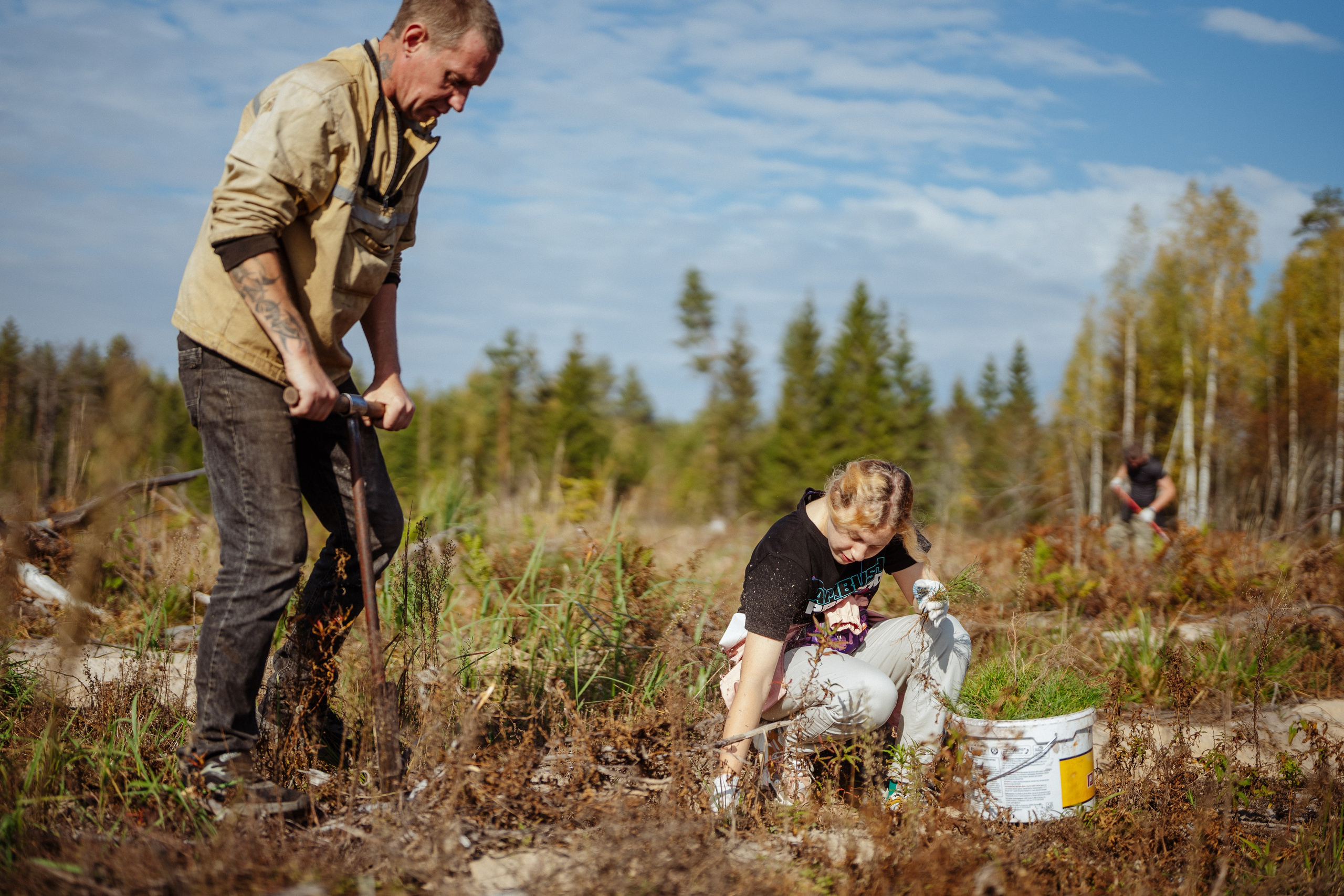 СБЕР · ЭКА · Посадка сеянцев. Владимир Вершинин, тот самый свадебный видеограф