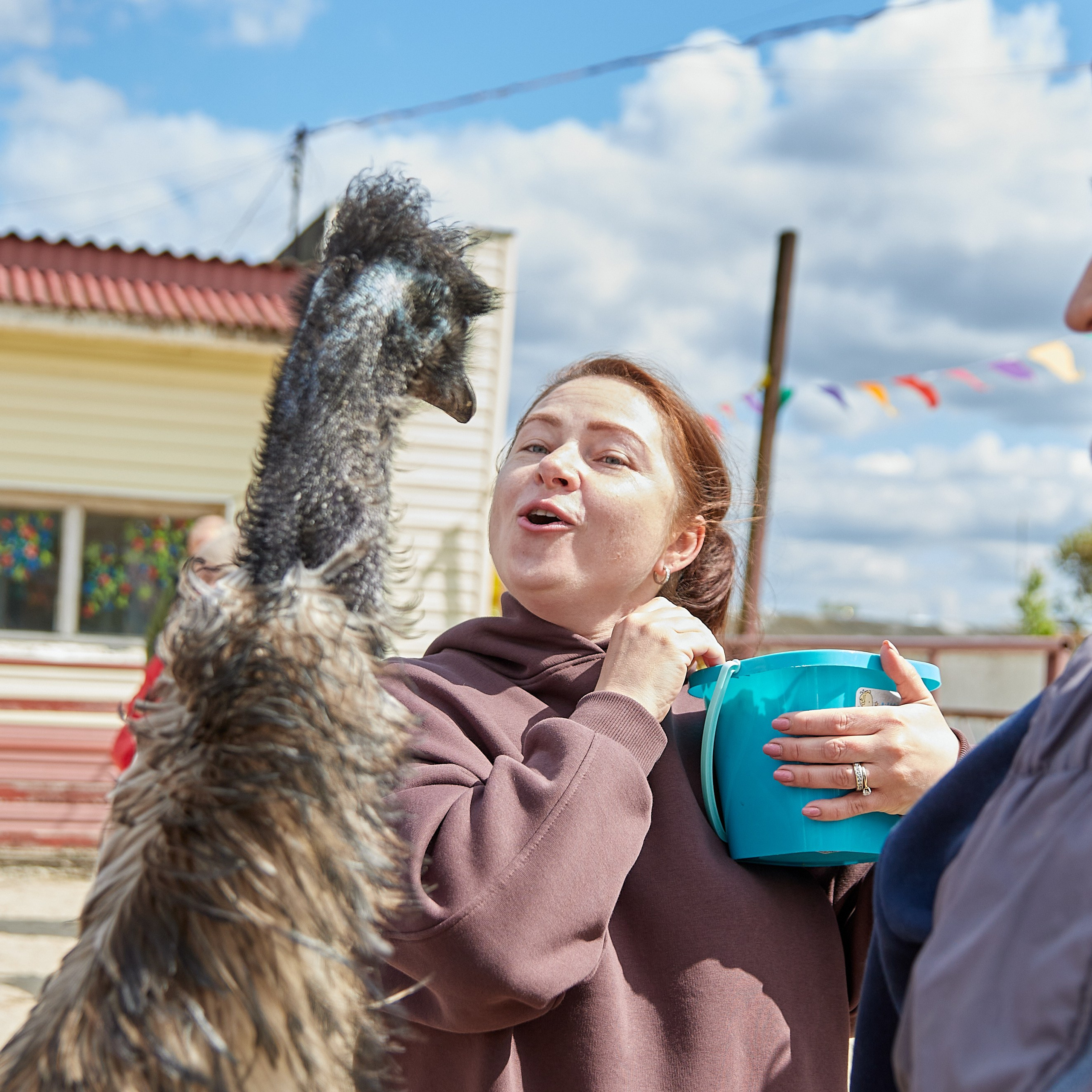 На ферме. Главная