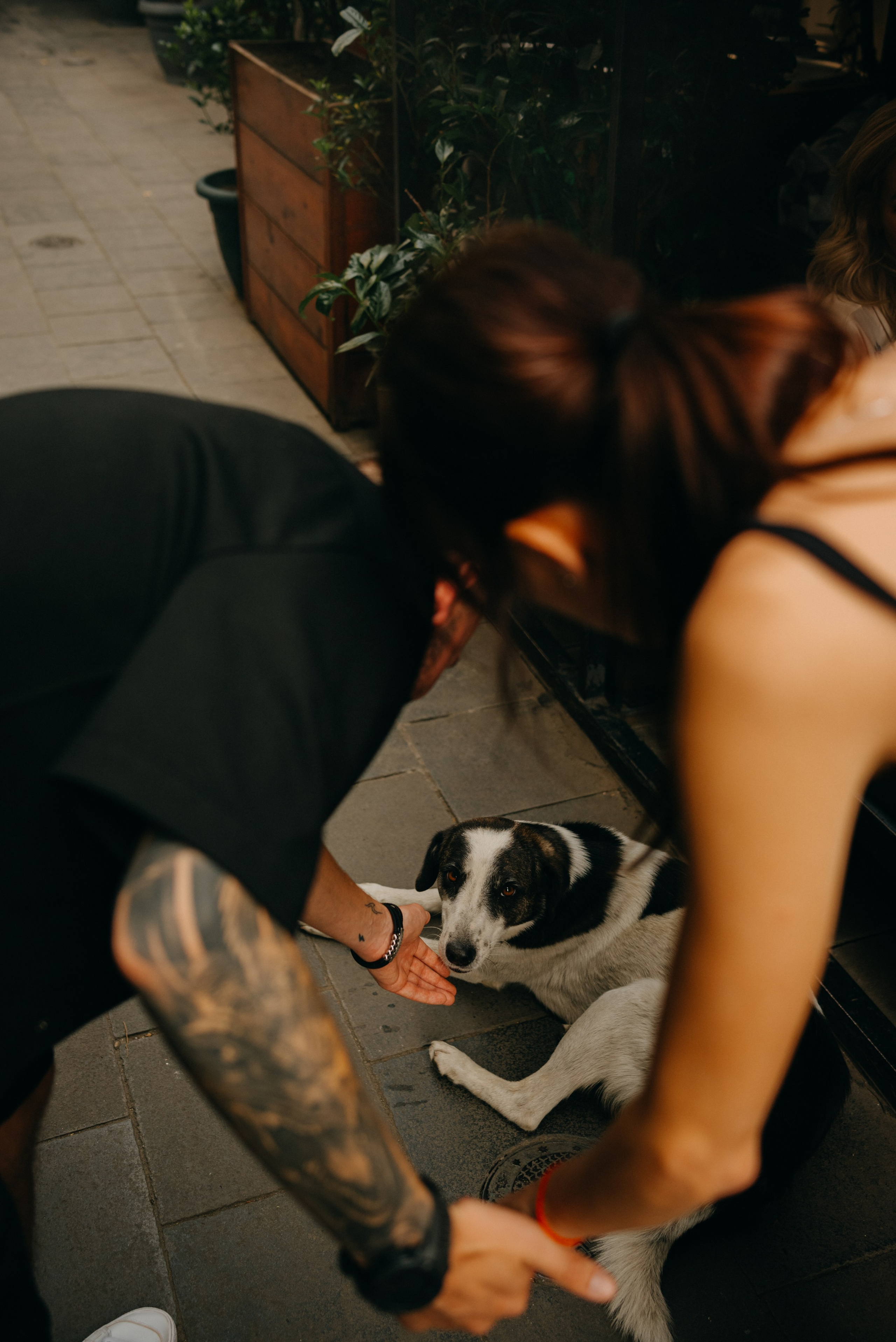 Свадебная фотопрогулка по городу Тбилиси. Портретный и свадебный фотограф в Тбилиси • xeniqo