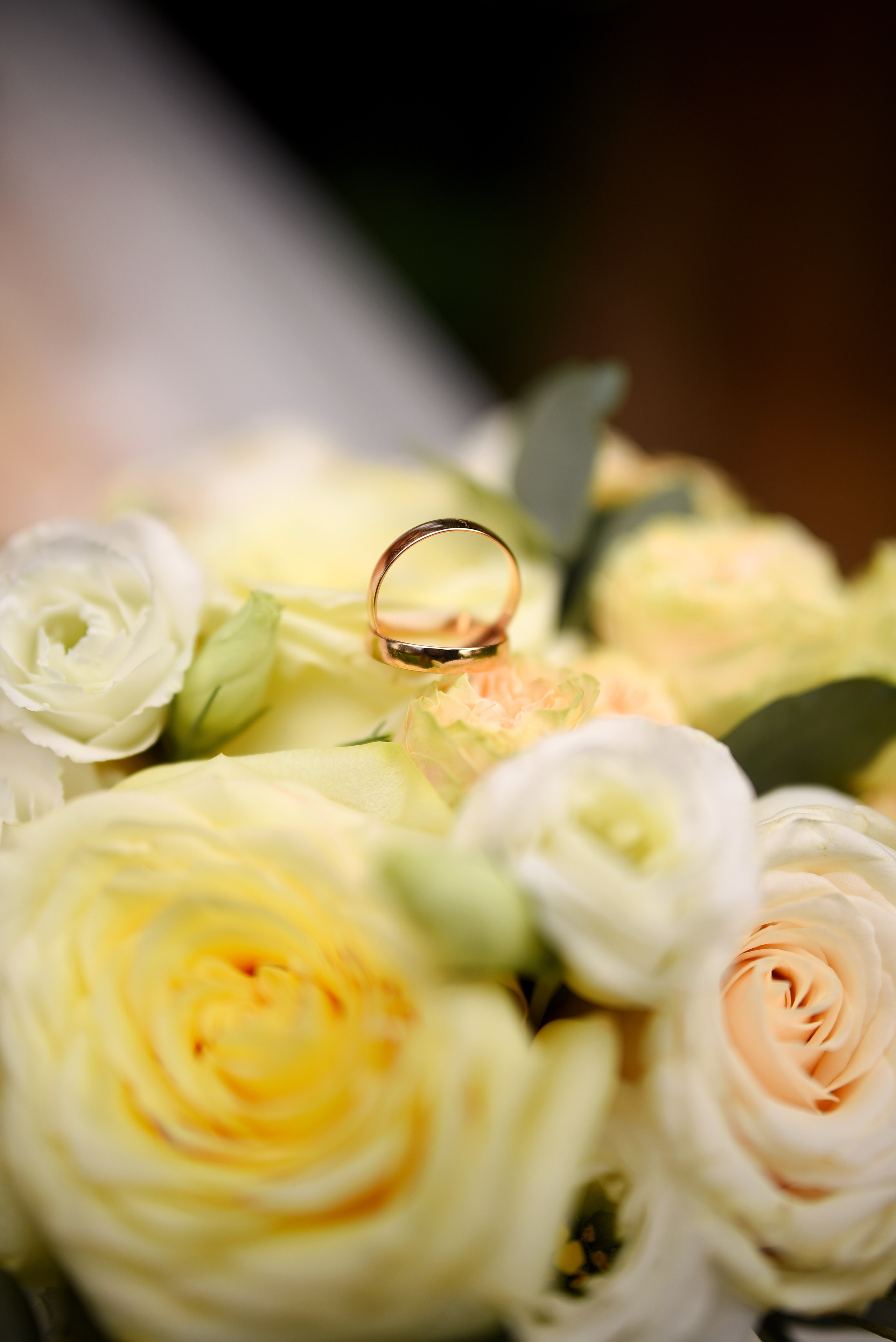 Услуги. Семейный и детский фотограф в Слониме Беларусь Вероника Грипич