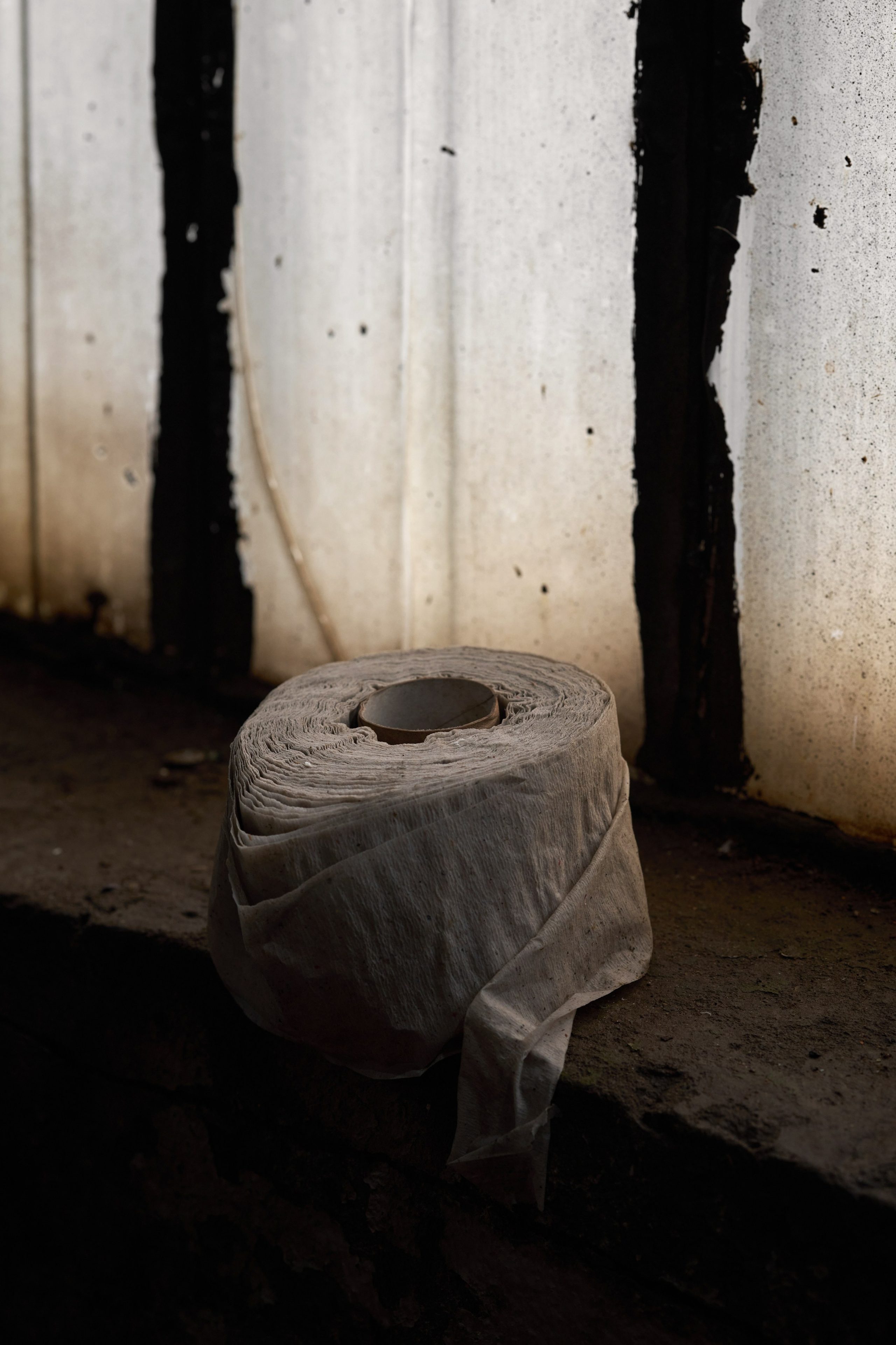 Сантрест. Photographer Roman Filippov