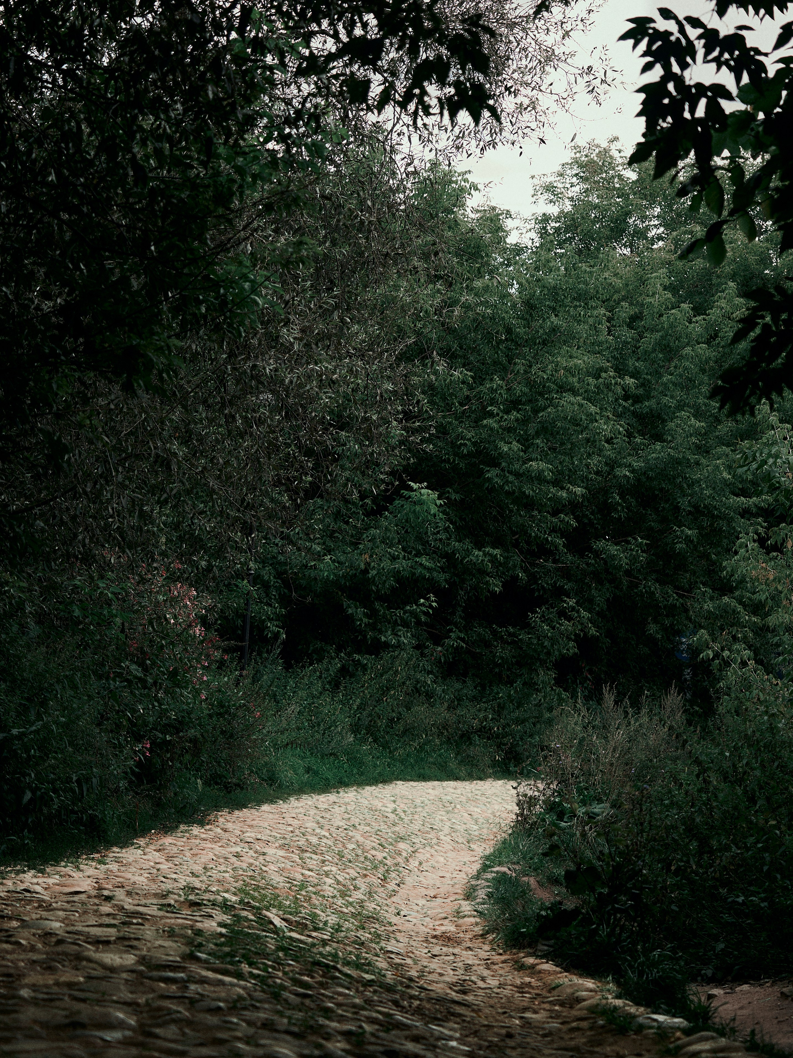 Street. Портретный фотограф в Москве