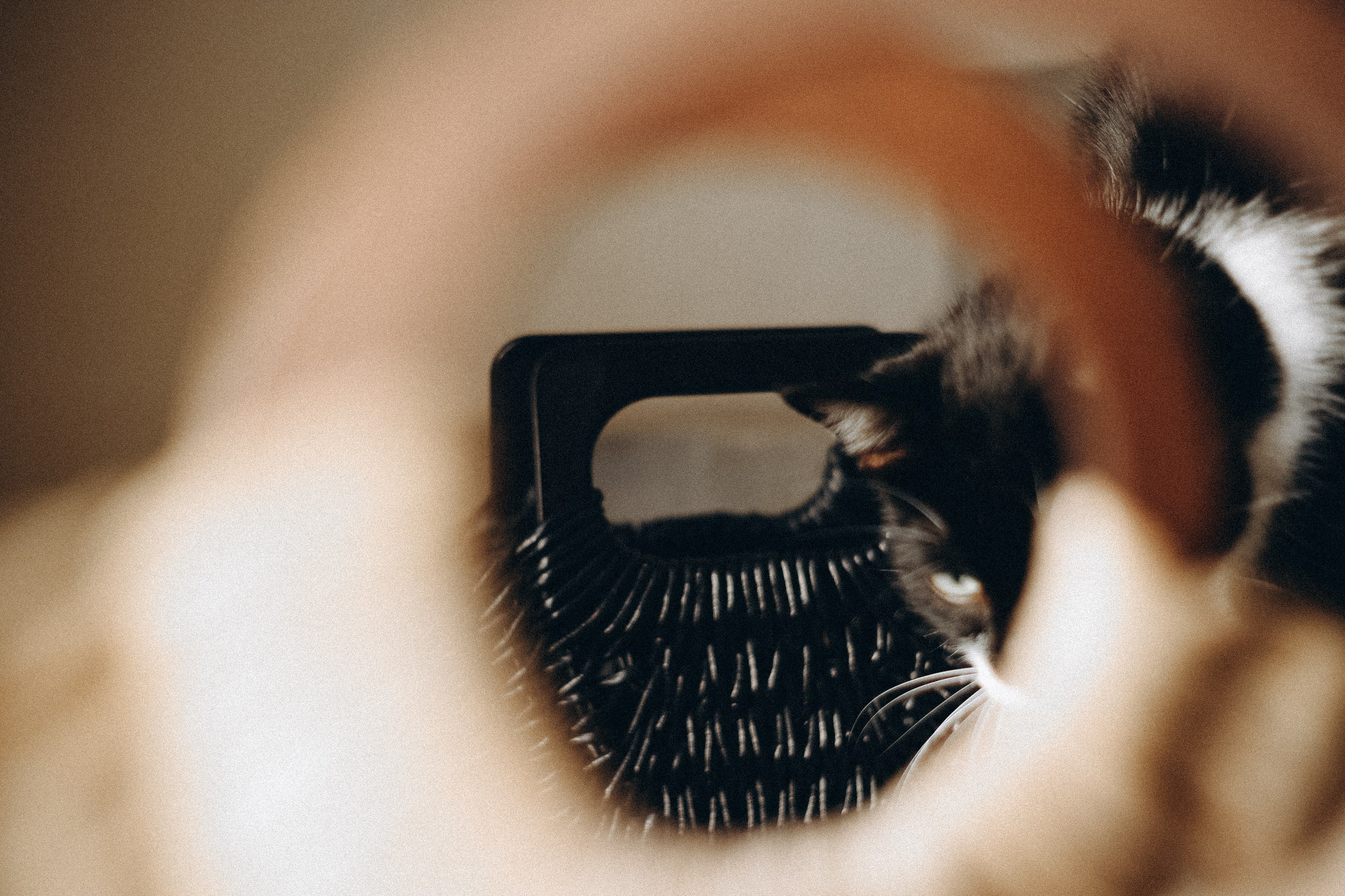 Плетеные изделия. Коммерческий фотограф. Ростов-на-Дону. Дарья Константинова