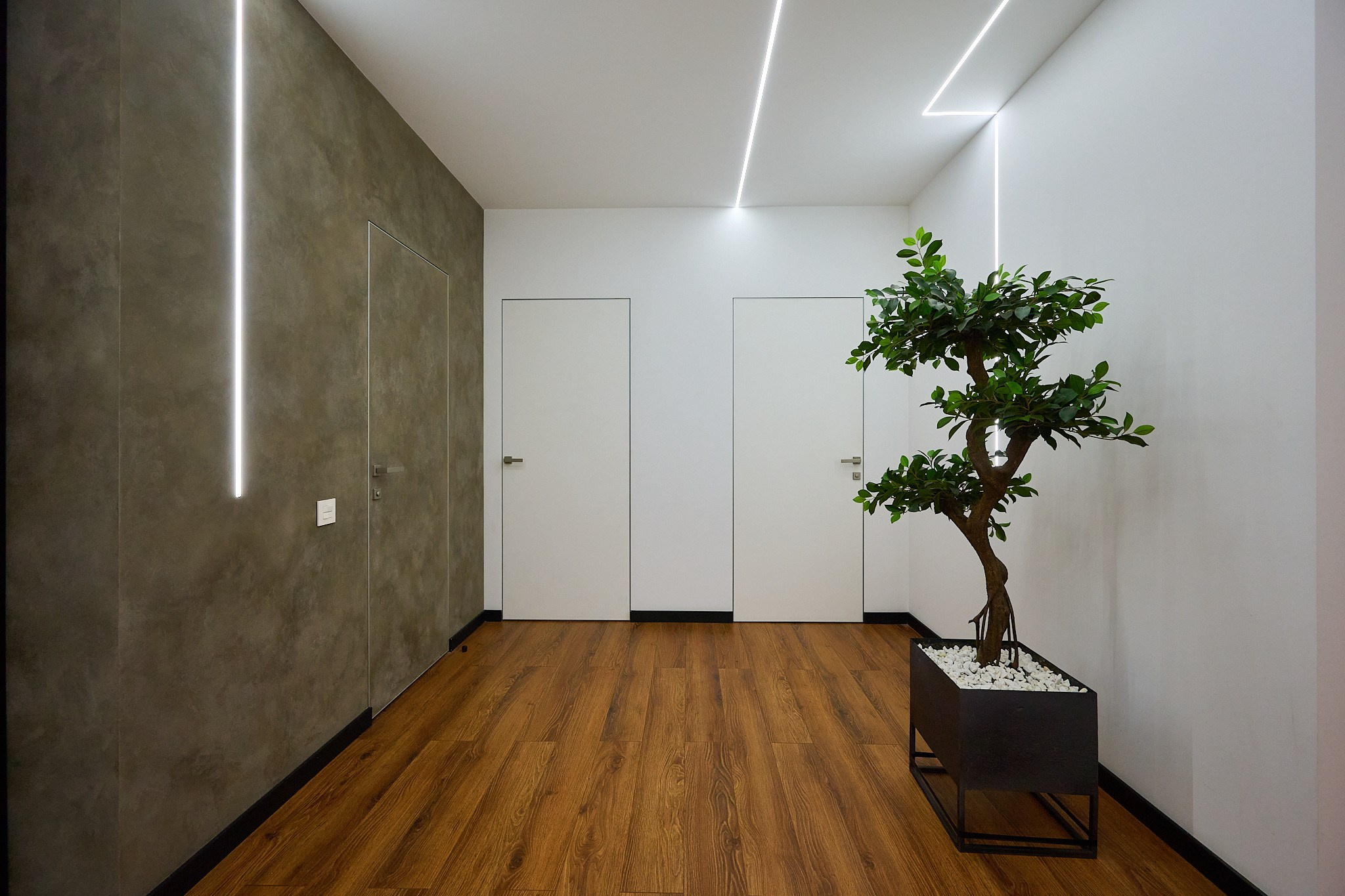 ламинат белые оттенки серая стена куст  лампочки 