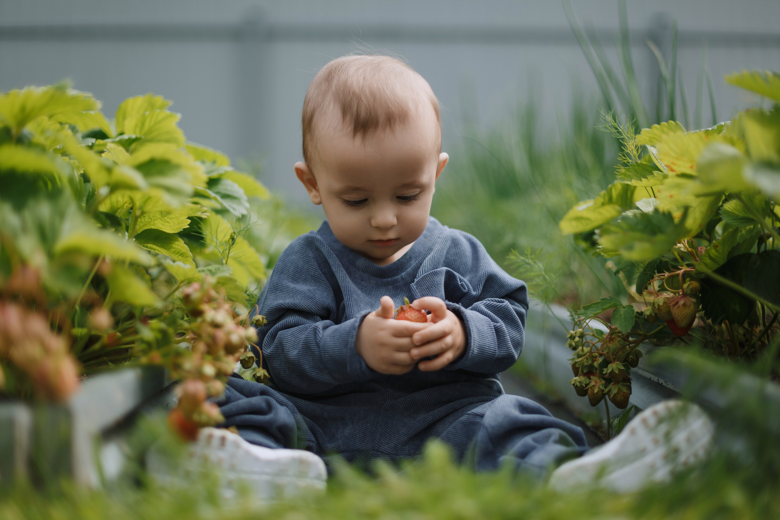 Большое Олино семейство. Профессиональный фотограф Надежда Антонова