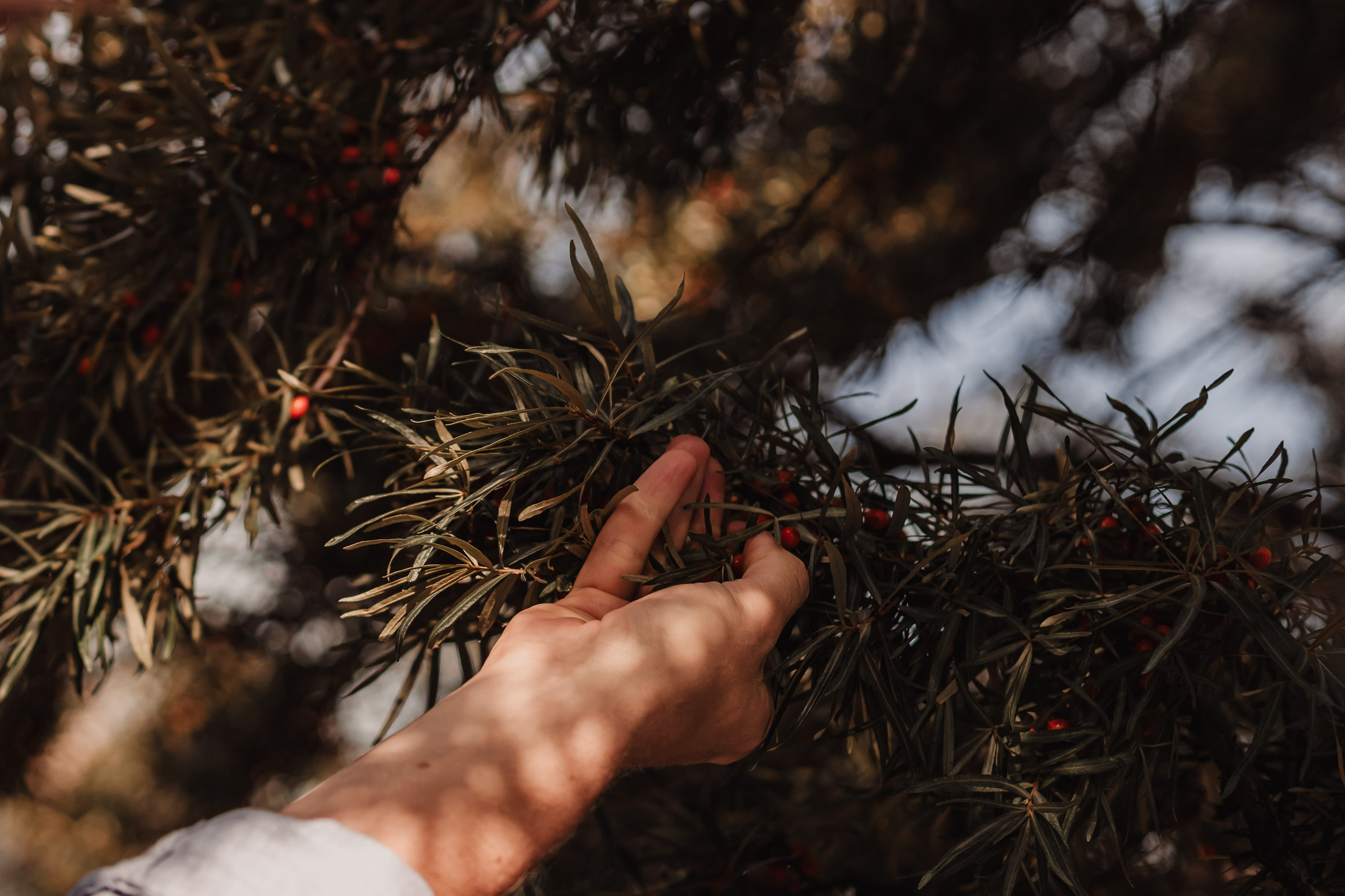 Happiness is family. Мариам Багдасарян