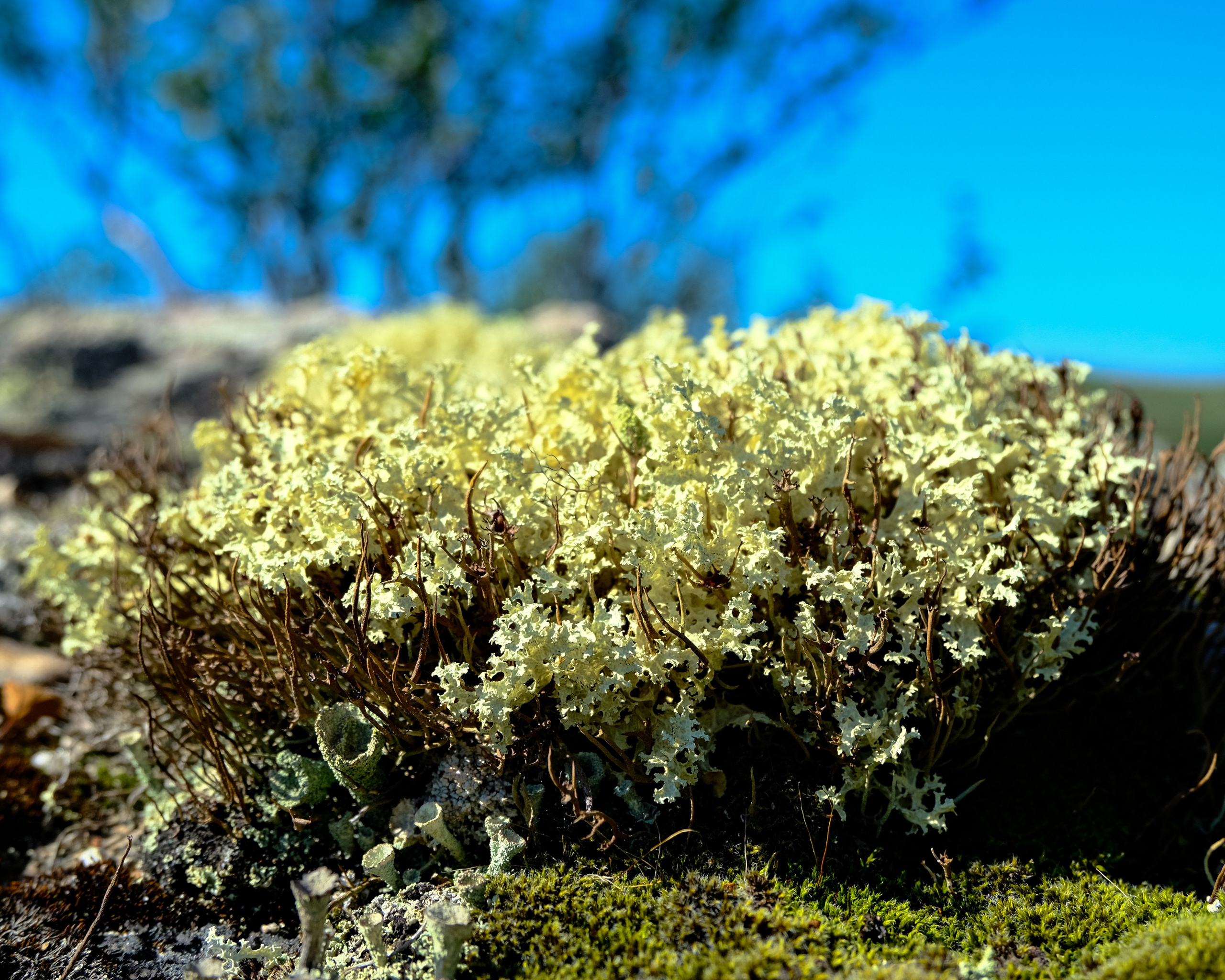 МУРМАНСК. Фотографии из путешествий