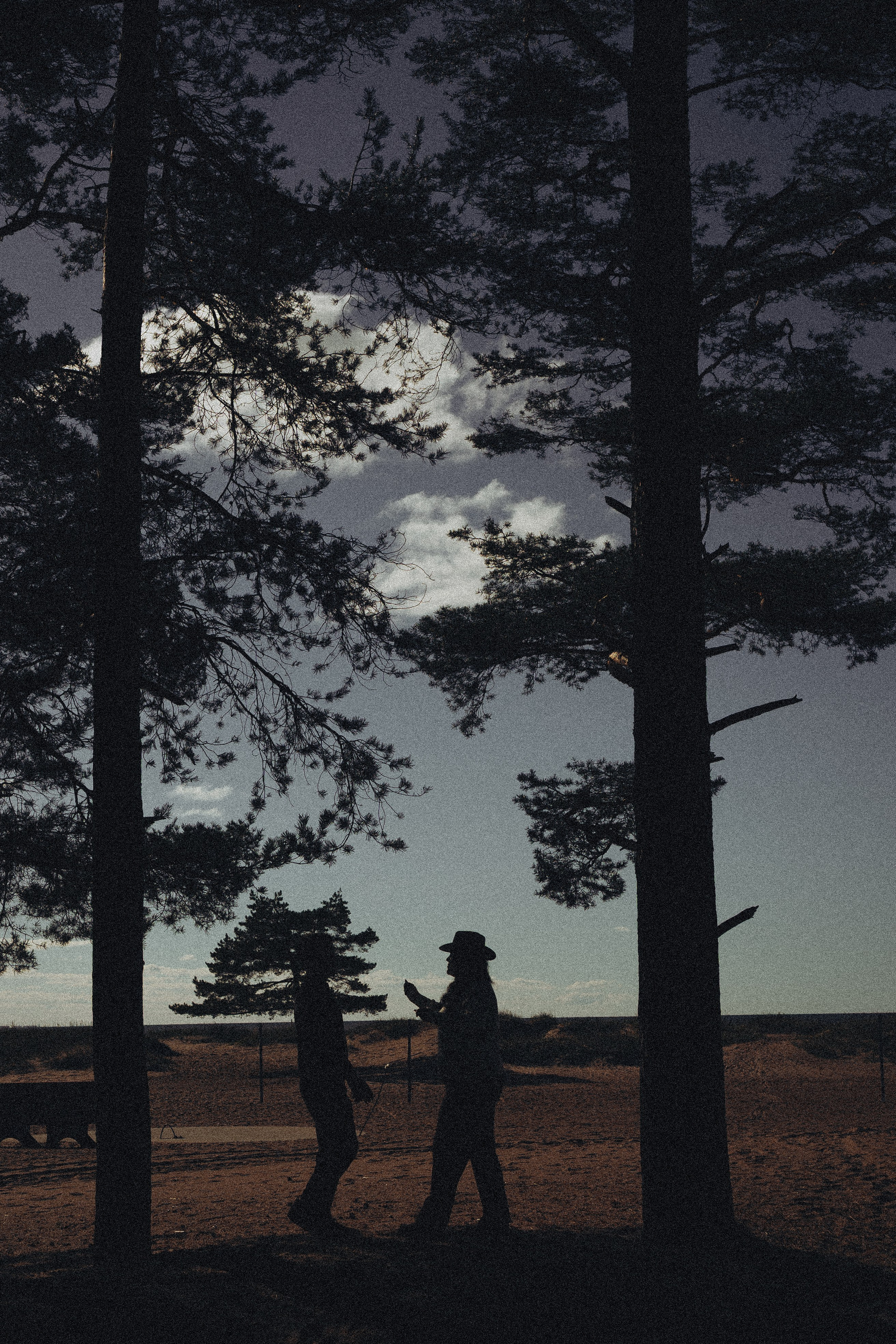 Прогулка по Финскому заливу. Профессиональный фотограф, Санкт-Петербург — Виктория Богомолова
