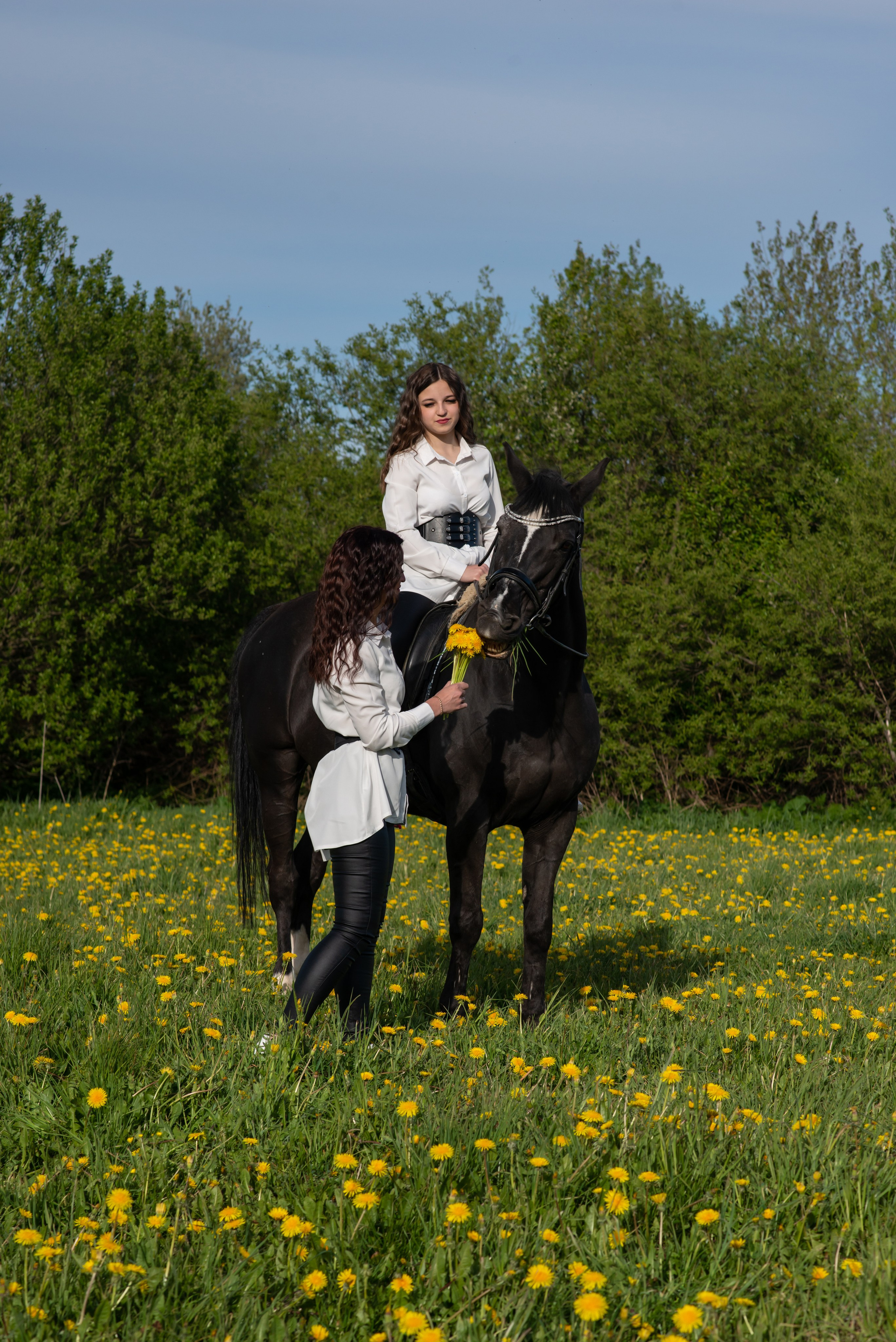 КСК Виват. Фотограф Софья Власенко | Вологда