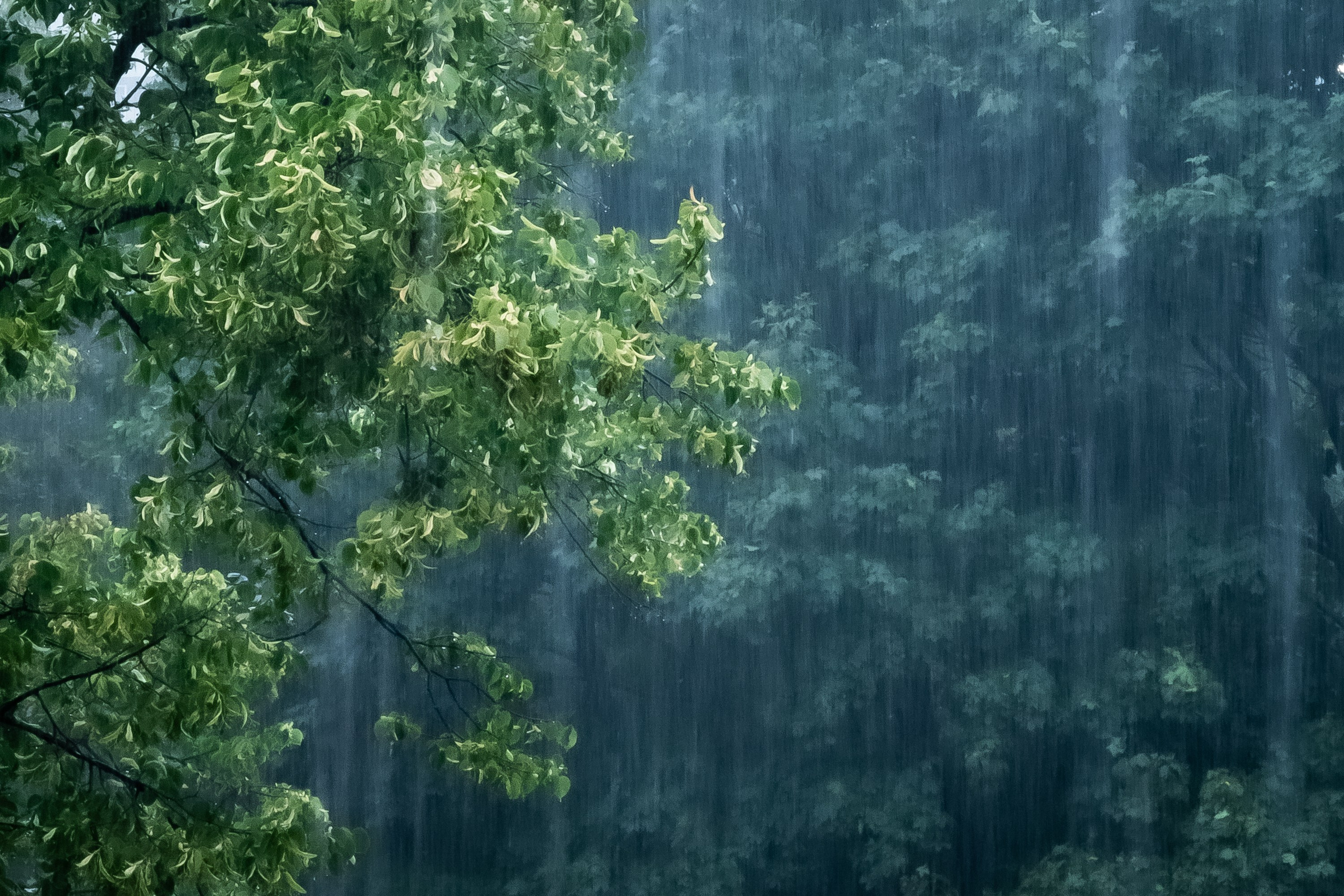 Природа. Фотограф Владимир Охрименко