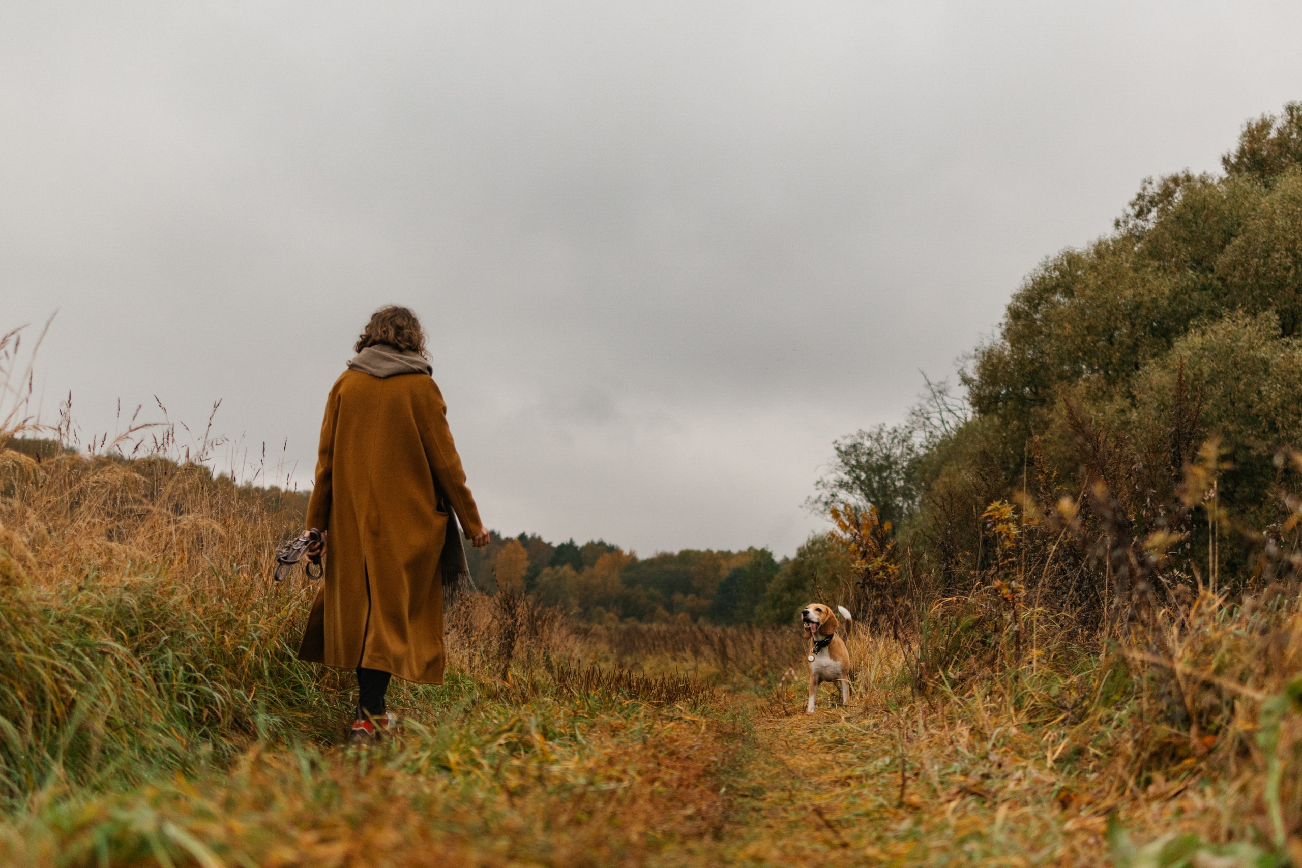 Лена и Тайгер. Фотограф — Анималист | Санкт-Петербург