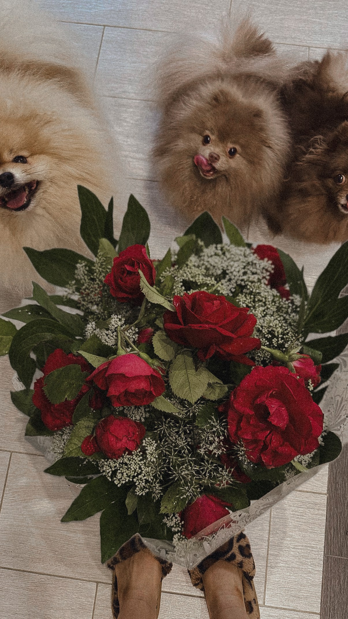 СЕЛФИ. Фотограф Санкт-Петербург