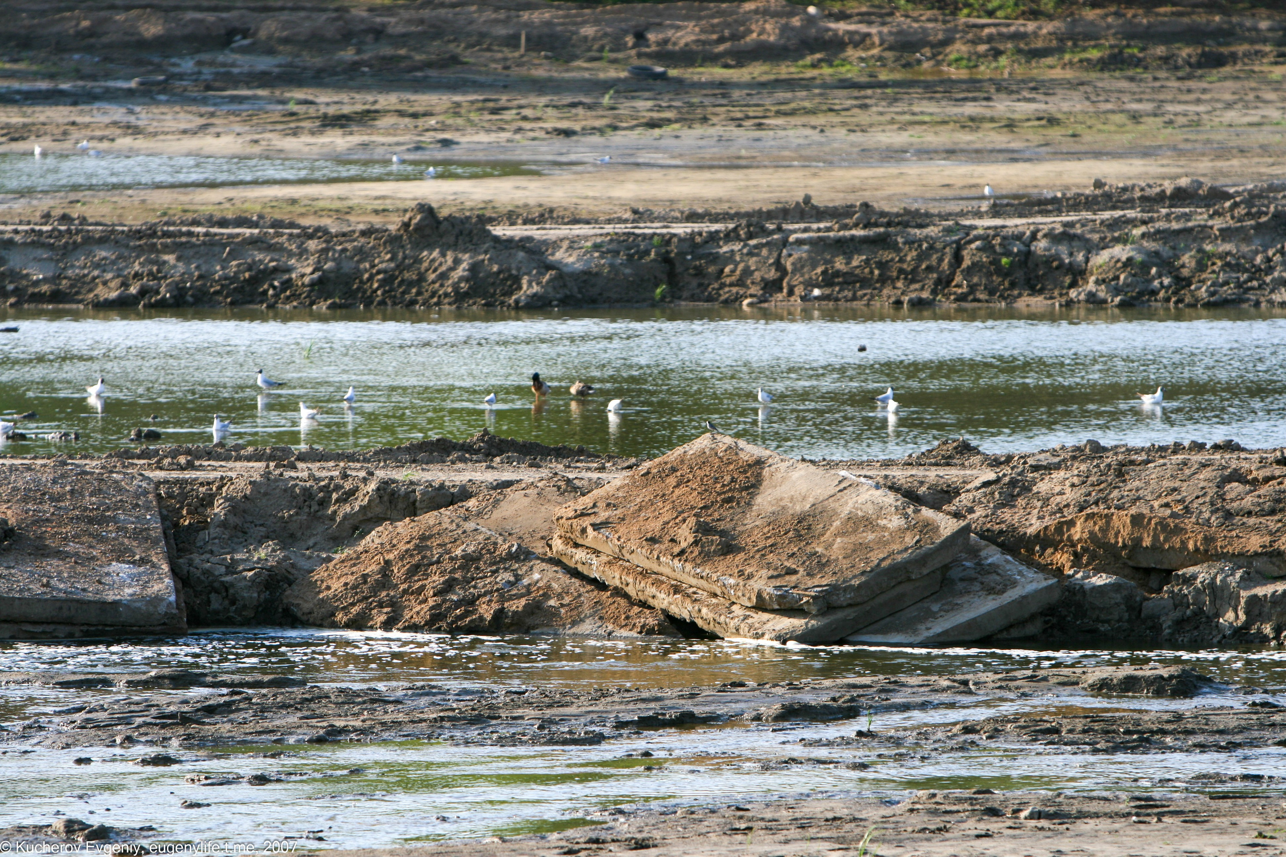 Май 2007. Царицыно. Кучеров Евгений. Фотограф